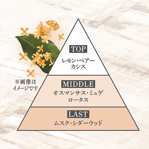 CANMAKE TOKYO（キャンメイク）さんのインスタグラム写真 - (CANMAKE TOKYO（キャンメイク）Instagram)「#メイクミーハッピー オードトワレ に限定の香りが登場✨  ＜限定＞ GREIGE / グレージュ  柔らかいキンモクセイの香り✨ ふんわりと甘い香りを楽しみたい方に  TOP：レモン、ペアー、カシス MIDDLE：オスマンサス、ミュゲ、ロータス LAST：ムスク、シダーウッド  つける量を調整しやすいロールオンタイプ 持ち運びに便利なサイズ感で、いつでもどこでもお気に入りの香りと過ごせるよ✨ サトウキビ由来の植物性アルコール使用  ・メイクミーハッピー オードトワレ   GREIGE　   770円（税込）  公式オンラインストアでは発売開始！ 店頭では8月下旬から順次販売を開始します♪ ぜひチェックしてみてくださいね❤  ※店頭発売日は、地域・店舗ごとに異なります。予めご了承いただけますようお願いいたします。  #CANMAKE #CANMAKETOKYO #キャンメイク #かわいいに出会える #プチプラコスメ #メイク #メイクミーハッピー #フレグランス #オードトワレ #香水 #メイクミーハッピーオードトワレ #メイクミーハッピーオードトワレグレージュ #限定香調 #新商品 #限定コスメ #makeup #fragrances #makemehappy」8月25日 15時57分 - canmaketokyo