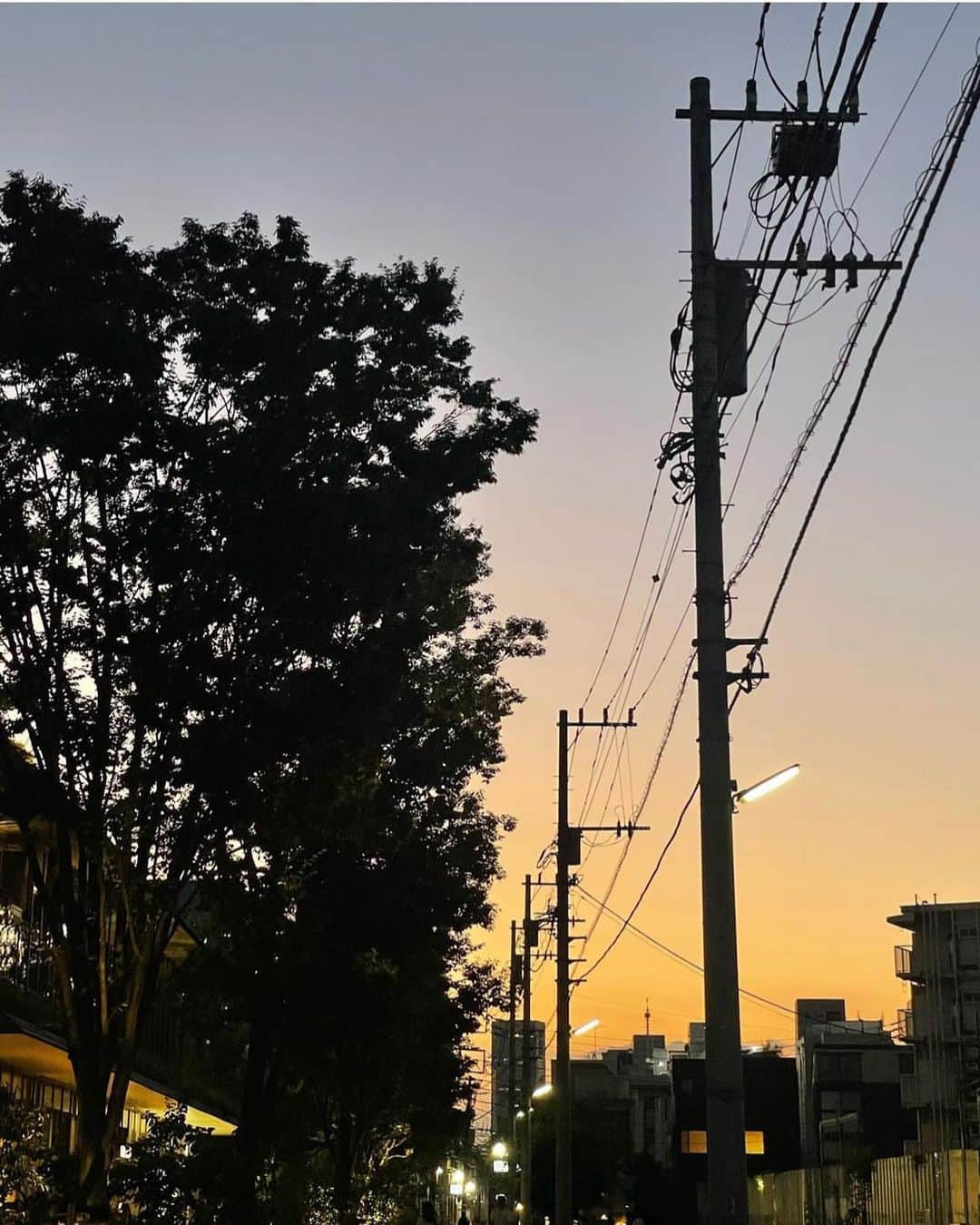 のインスタグラム：「ふと見上げた時の空が綺麗だと嬉しい〜！」