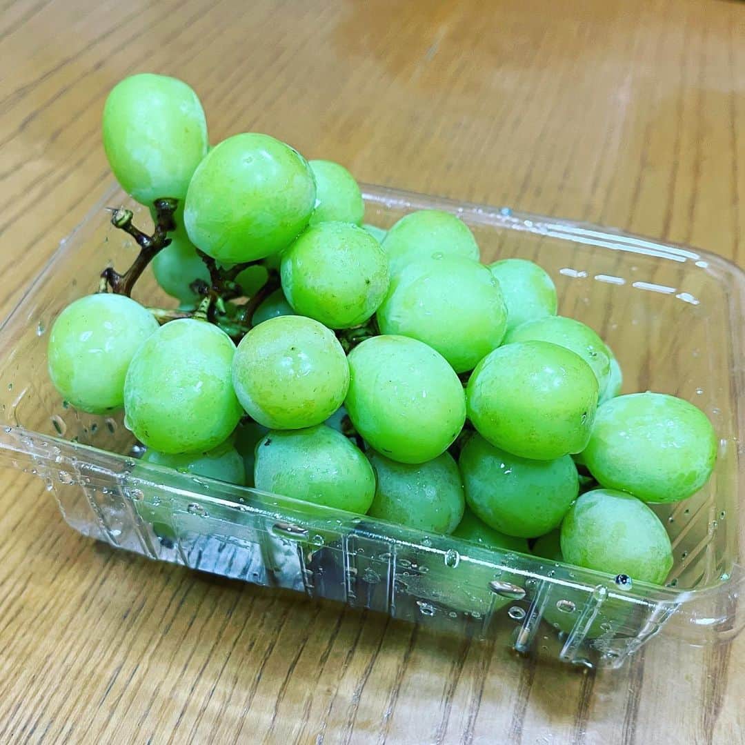 水谷さるころのインスタグラム：「シャインマスカットがこんなに美味しいなら、シャチョーマスカットはもっと美味しいのかな？　などとどうでもいいことを言いたくなるくらいうまい（家族から「お母さん親父ギャグ言ってる」って冷たい目で見られた）。」