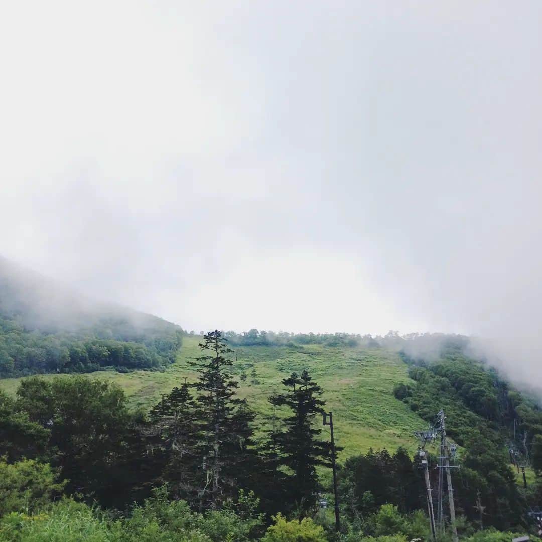 栂池高原スキー場さんのインスタグラム写真 - (栂池高原スキー場Instagram)「おはようございます。 つがいけゴンドラの朝一情報です。  天候　くもり 気温　19℃ 風速　0m/s  雲がおりてきて、強い日差しを遮ってくれてますので、山頂、自然園ではとても涼しく過ごせそうです✨  皆様のご来場をお待ちしております。  #中部山岳国立公園 #栂池自然園 #北アルプス #白馬山麓 #長野県 #白馬つがいけWOW！ #白馬 #栂池高原スキー場 #栂池高原 #栂池 #ロープウェイ #つがいけマウンテンリゾート #tsugaike #hakuba #絶景 #子連れ #家族の時間 #ファミリー #こどもとおでかけ #トレッキング #キャンプ #ドッグラン #アクティビティ」8月25日 8時02分 - tsugaike_kogen