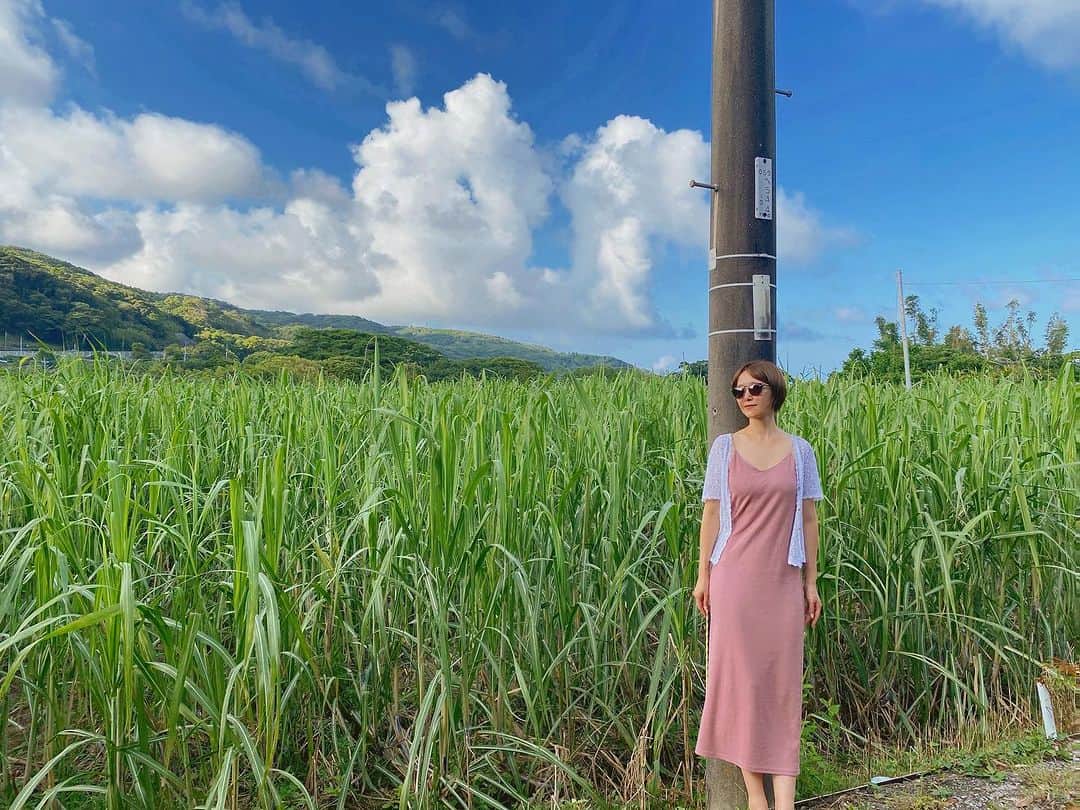 のインスタグラム：「田舎って自然しかないと思ってたけど 季節で、景色が変わったり 虫の音や、空気の匂いが変わるから それを楽しめるようになった🌿🌻🌾🍂  むしろ、それが心地よくなった😁」