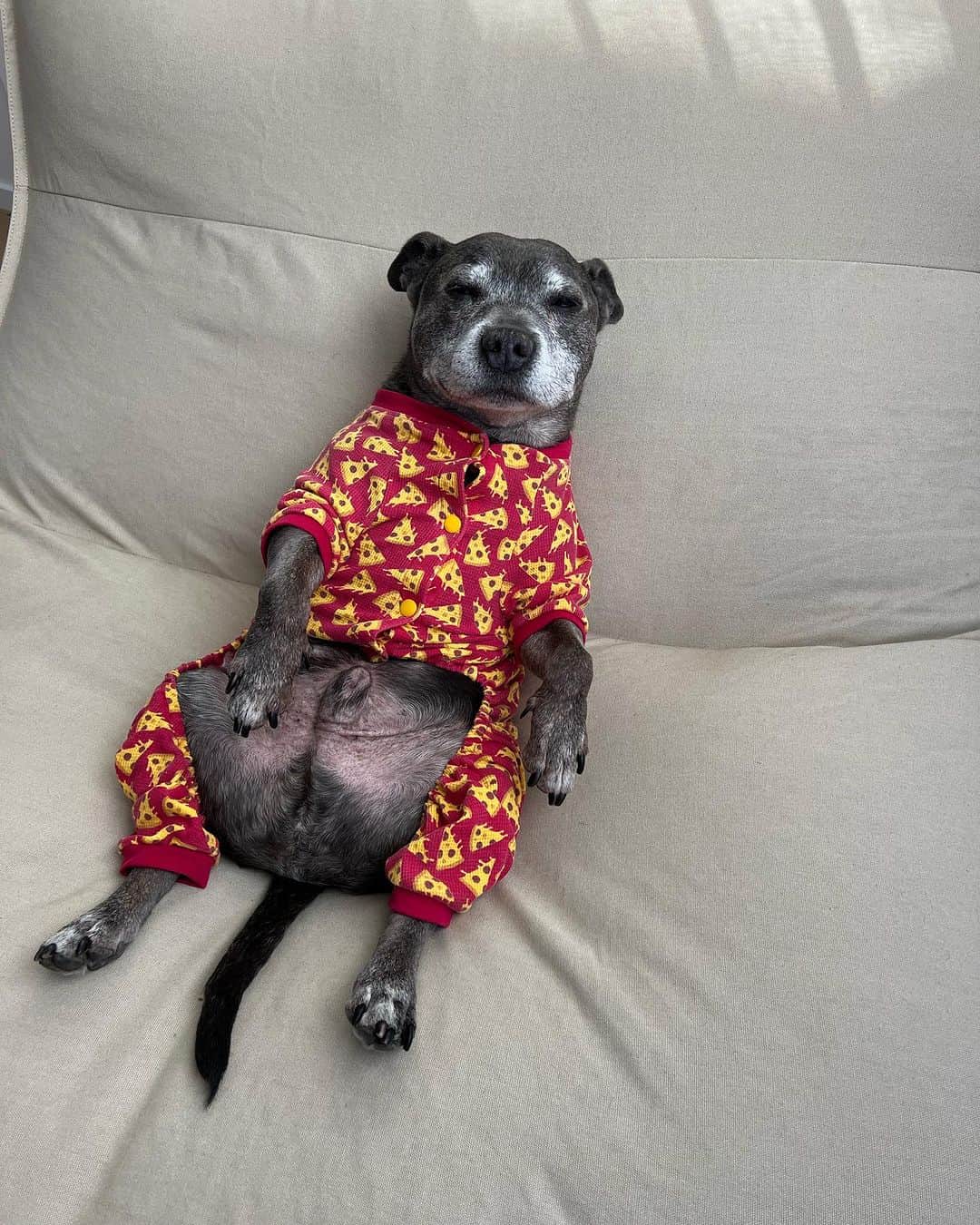 DARREN&PHILLIPさんのインスタグラム写真 - (DARREN&PHILLIPInstagram)「Just a relaxy boy in his pizza jammies … probably pondering where his next meal is coming from 🍕」8月25日 8時20分 - the_blueboys