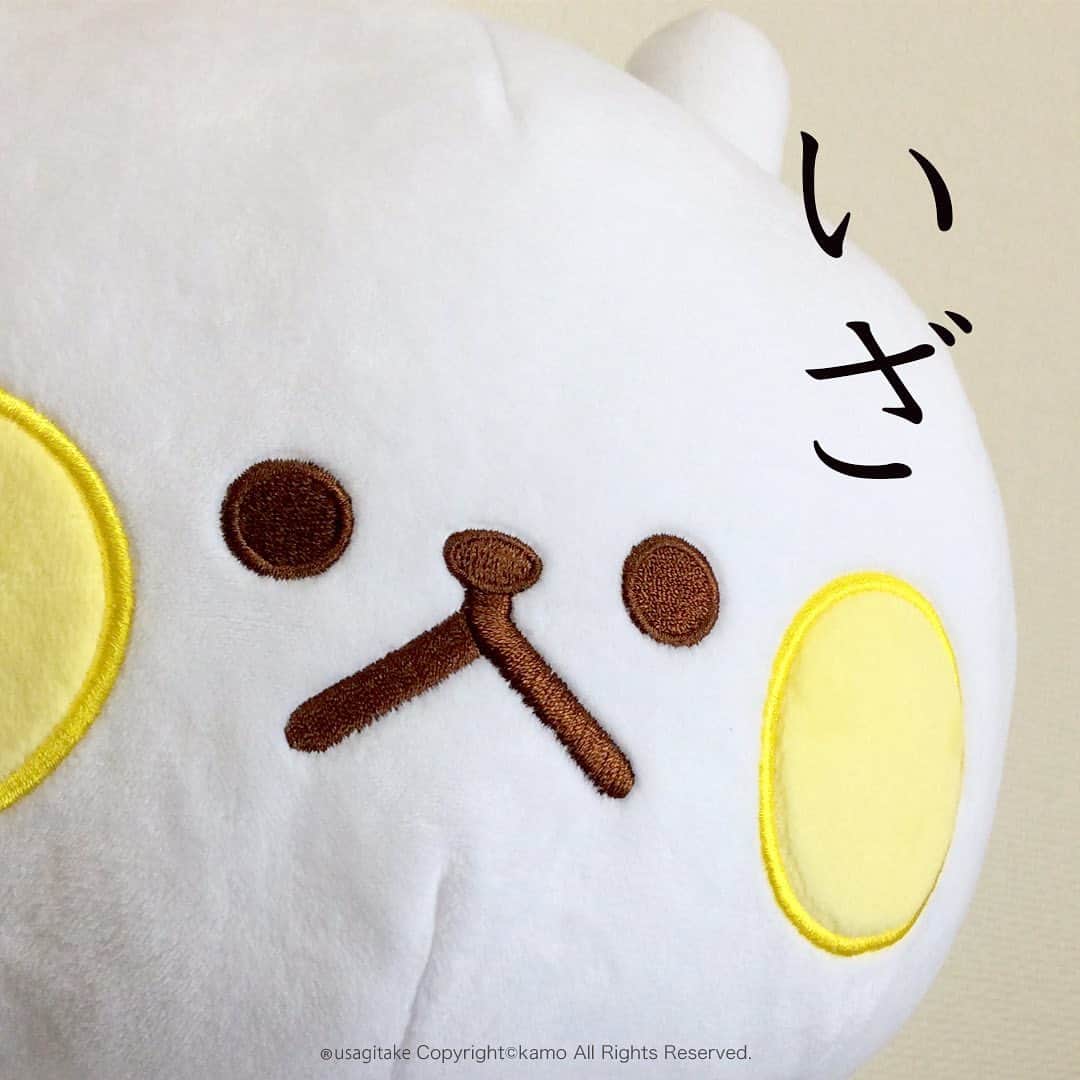 カモのインスタグラム