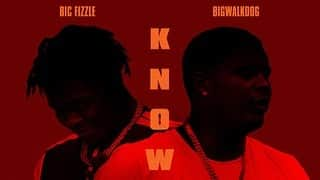 トリル・ダイナスティさんのインスタグラム写真 - (トリル・ダイナスティInstagram)「BicFizzle Knowing (feat.BigWalkDog)  Co-Produced by TRILL DYNASTY」8月25日 9時30分 - trilldynastybeatz.jp