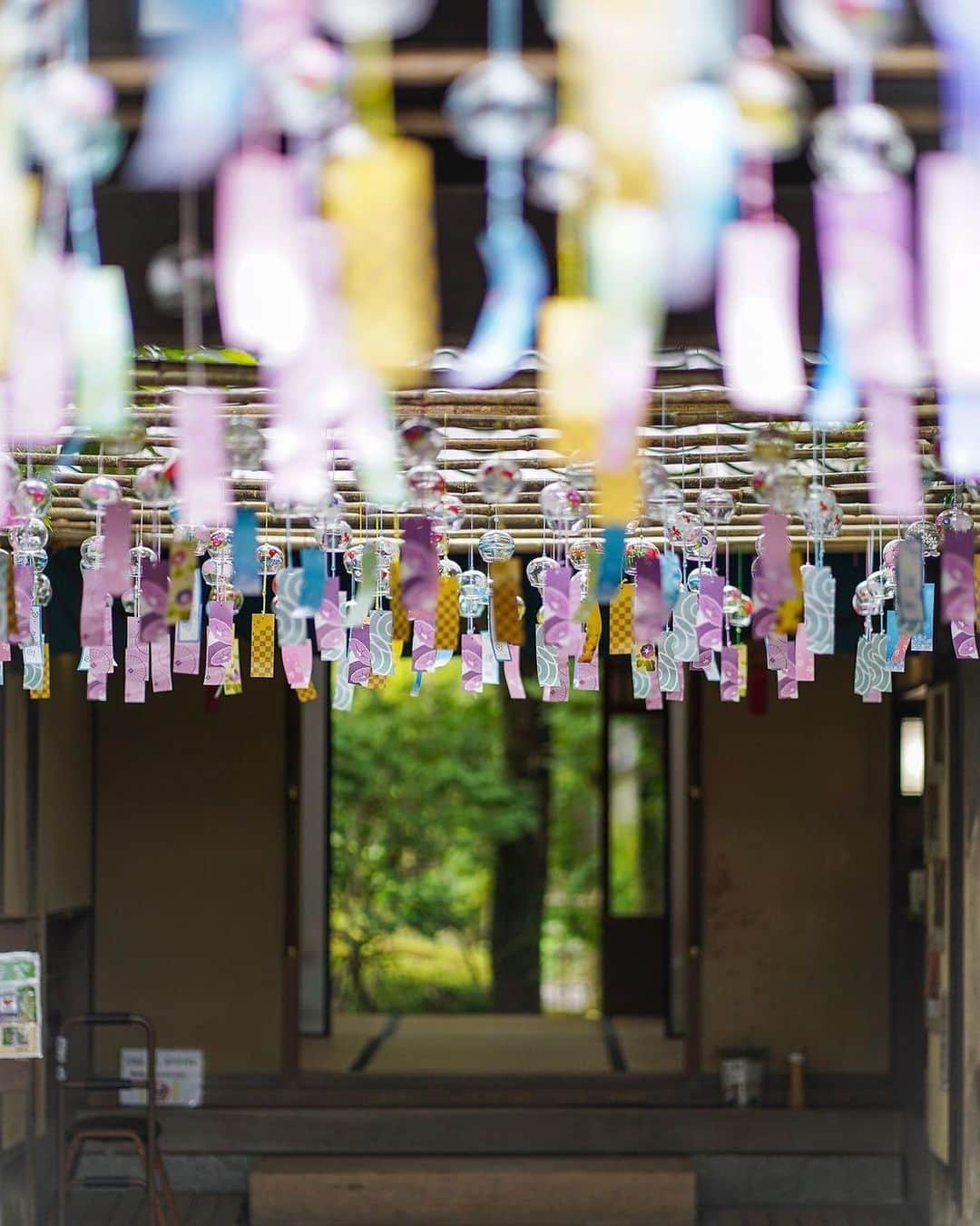 福岡市のグルメインスタ