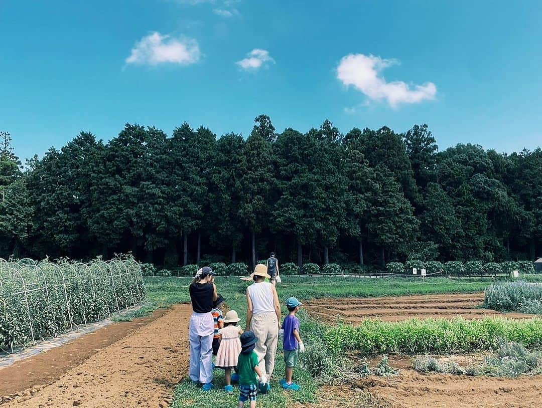 安田美沙子さんのインスタグラム写真 - (安田美沙子Instagram)「たびの続き。。。  夜は、流れ星を見ながら語り合いました⭐️  子供達はテントの中で寝てる。  離れると子供のことが頭から離れないから、結局そばにいてくれるのがホッとする。  安心しながら夜の時間を楽しめるなんて久々でした。  夏の思い出🌻グランピングまた行きたいな⭐️  #family #glamping  #thefarm  #thanks #friend  #family」8月25日 10時06分 - yasuda_misako