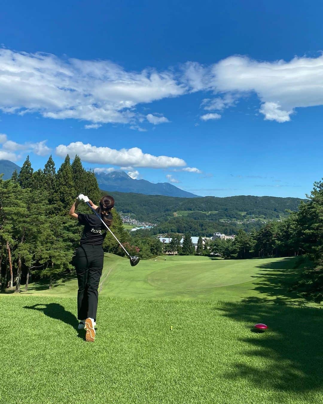 藤井悠のグルメインスタ