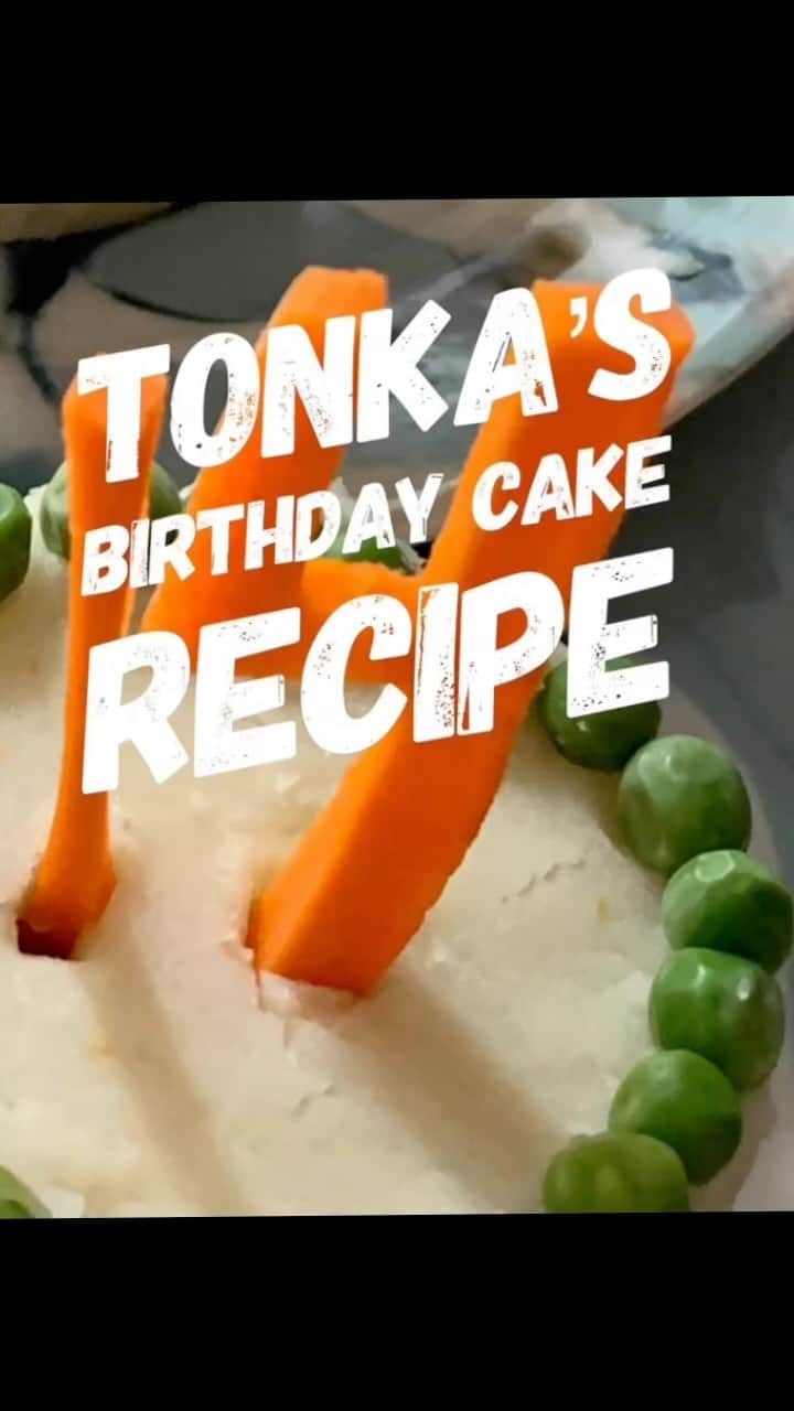のインスタグラム：「Here is my recipe for a savory pug birthday cake . The last time I made this was for Tonka’s 14th ! I am going to make this for Archie’s 4th Birthday in October!」