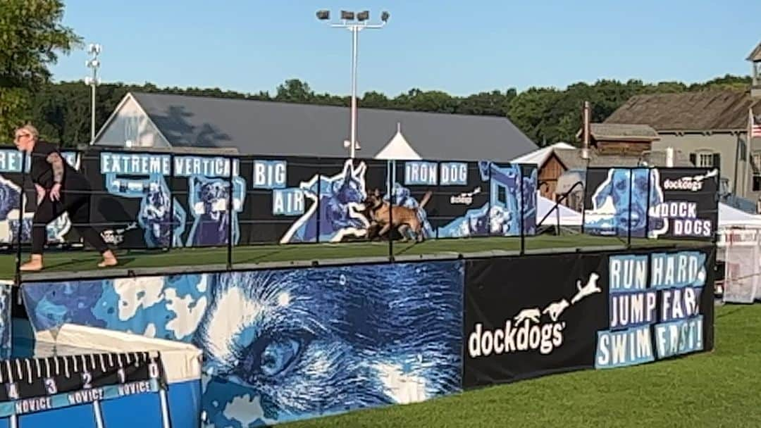 ラファエル・スバージのインスタグラム：「Went to the Duchess County Fair Grounds Rhinebeck, NY —! There was a competition of “dog jumping,” over water. Which ever one can jump the farthest, wins!  It’s was wild. #dogsofinstagram #dogs   We watched one after another. Every single one was hysterical and glorious.   Who knew? It’s a THING! @laurinsydneystyle @jennadeangeles」