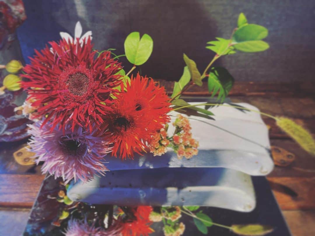 宮田麺児のインスタグラム：「丹波篠山 窯元で　生け花してます  #丹波篠山 #立杭焼 #丹波 #生け花 #ガーベラ」
