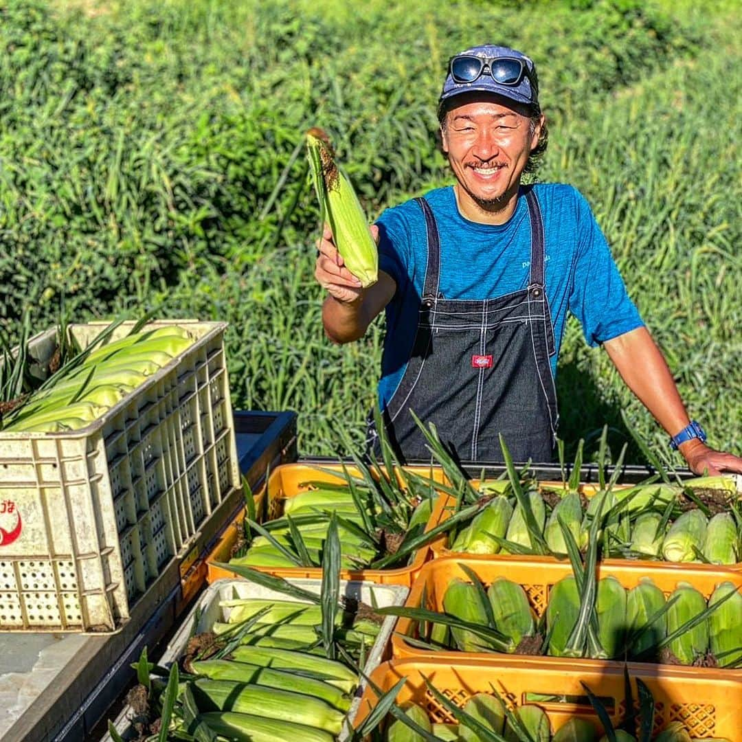 石川直宏さんのインスタグラム写真 - (石川直宏Instagram)「『“なおもろこし”2023注文締切のお知らせ』  日頃よりNAO’s FARMの活動に ご理解ご協力いただき誠にありがとうございます🤝  今年は大変多くの方にご注文・ご購入いただき、 予定より1週間ほど早くECサイトでの注文を【締切】とさせていただきます。  ※ご注文いただいた商品は9月上旬までにお送りさせていただきます。  【注文締切】 8月28日(月)23:59  【残り本数】 100本  いずれかに達し次第、ECサイトでの注文を締め切らせていただきますので、ご希望の方はお急ぎください🌽👨🏽‍🌾  #NAOsFARM #NAOsFARM2023 #みみずや @mimizuya.nagano  #Iizuna #飯綱 #Nagano #長野 #なおもろこし #なおもろこしゴールド #なおもろこしパール #NAOsFARM農場長 #NaohiroIshikawa #石川直宏」8月25日 11時21分 - sgss.18