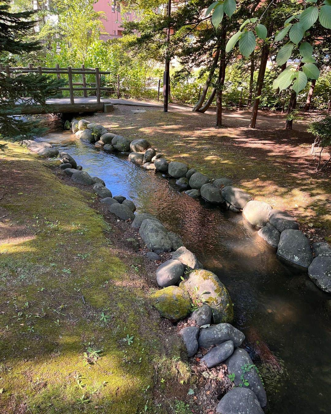 菊田俊介さんのインスタグラム写真 - (菊田俊介Instagram)「暑い札幌と苫小牧で北海道ツアー始まる♫ Hokkaido Tour just began. It’s really hot in here! #hokkaido #livetour #shunkikuta #liveblues #tomakomai #sapporo」8月25日 11時44分 - shun.kikuta