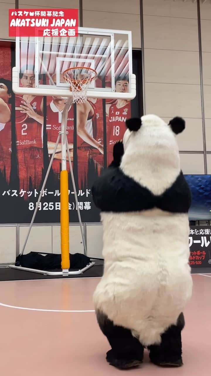 星星（セイセイ）のインスタグラム：「FIBA バスケットボールワールドカップ2023  本日開幕🏀🌺  AKATSUKI JAPANの勝利を願ってフリースローに挑戦してみたよ✨  みんなも一緒に応援しよー📣  #バスケットボール #バスケw杯 #AkatsukiJapan #吼えろ日本　#basketball #basketballworldcup」