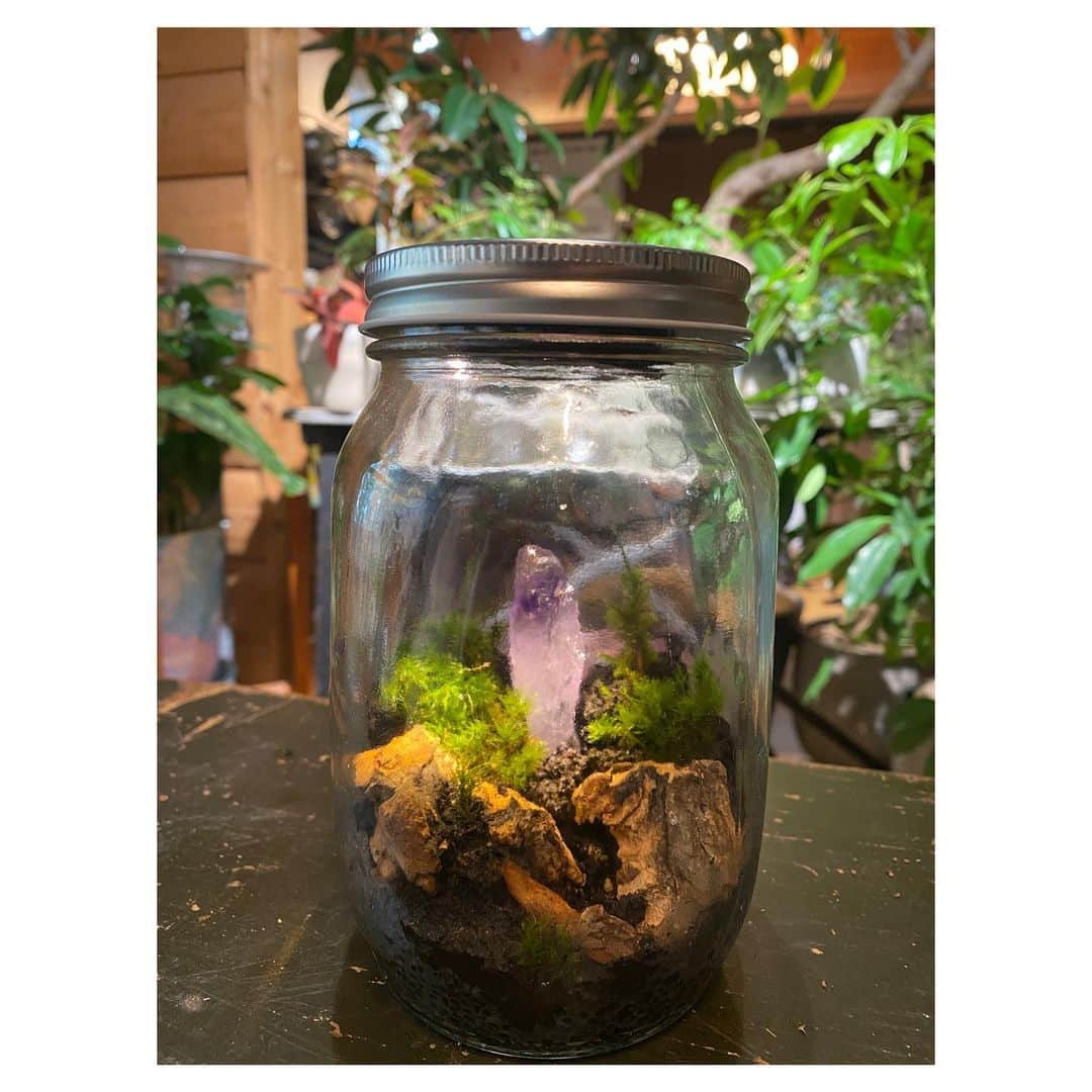 桐山漣のインスタグラム：「・ @mond_and_plants  モンドさんにHow toを教わり 0から作った苔テラリウム 仕事忘れて没頭しました。 これはハマるなぁ 　 ぴあ連載 月刊キリヤマガジン第11回 ぜひご覧ください」