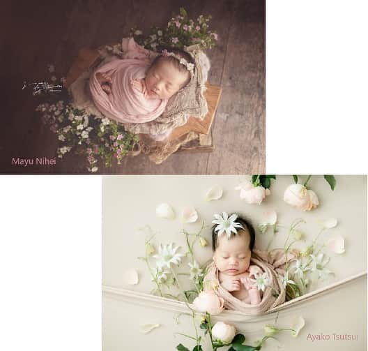 富士フイルム for フォトグラファーのインスタグラム：「📸 FUJIFILMオンラインセミナー  【タイトル】 newbornで大人気！待望のトークセッション開催  〈 ニューボーンフォトを牽引するフォトグラファーのリアル 〉  【内容】 ひとくちに「ニューボーンフォト」といってもそのスタイルは様々💡 撮り方だけでなく小物、撮影プランなど、フォトグラファーの個性が光ります✨  そんなニューボーンフォト業界で大人気のおふたりをお招きして いろいろなお話を伺うトークセッションを企画しました🎉   弊社オンラインセミナーにて、 昨年7月に「単価アップを図るプラン設定」についてお話いただいた、地元福島で愛され選ばれ続ける二瓶氏(@joues_des_jumelles) 昨年9月に「フォトグラファーとしての仕事と育児を両立させる7ルール」をご紹介いただいた、全国からの来店が絶えない筒井氏(@womb_newborn) ニューボーンフォトグラファーとして大活躍中のおふたりと、普段は黒子の富士フイルム司会者も一緒に、奈良県にあるstudio wombから3者でトークセッションをお届けします👩‍🏫  【開催概要】 日時：2023年9月28日(木) 13:00～15:00（15分前から参加可能） ※今回のセミナーは13:00開始となります 講師：二瓶麻由氏、筒井亜矢子氏 ※ZOOMによるオンラインセミナー 参加費：無料  当日はスタジオに季節のお花をたくさん用意し、テーマに沿ったスタイリングを生披露いただくライブ企画を計画中！ 二瓶さんならどうアレンジする？筒井さんはどのお花を選ぶ？皆さまのご活動の参考になる要素がちりばめられていること間違いなし！  また、普段よりも長めにQ&Aコーナーを設ける予定です。  撮影をされていて日々感じるお悩みや、これからニューボーンフォトを始めてみたい！という方からのご質問など 普段聞けない内容があればご準備のうえご参加ください✊  ご参加のお申込みは当アカウントのホーム画面からオフィシャルサイトにお進みください🔻 @fujifilm_imaging_jp  右上にある「セミナー申込」をクリックすると申込フォーム画面になりますので、ご入力をお願いいたします✏️ 受付完了しましたら、Zoomセミナー参加用URLを返信いたします📩  皆様のご参加お待ちしております☺️  #富士フイルム #オンラインセミナー」