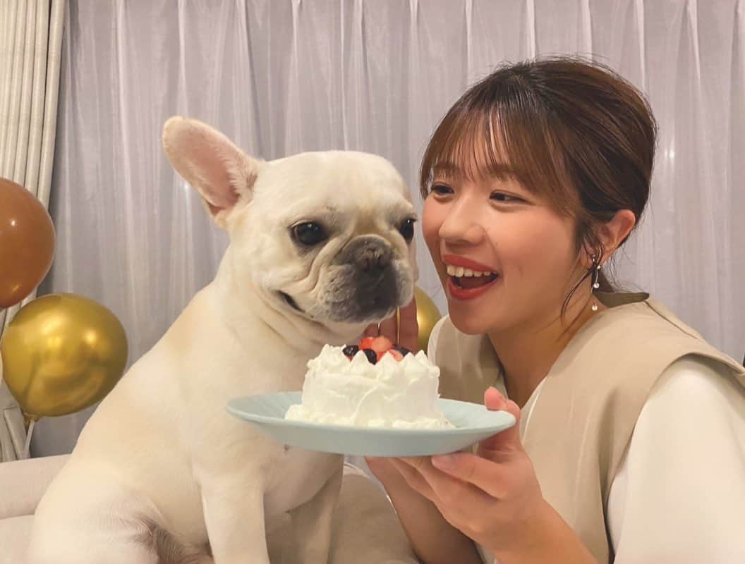 大森万梨乃さんのインスタグラム写真 - (大森万梨乃Instagram)「ㅤㅤㅤ  ㅤㅤㅤ 〜 🐶のお誕生日をお祝い 〜 ㅤㅤㅤ ㅤㅤㅤケーキは今年も手作りで頑張りました💪 土台はお芋と人参、クリーム代わりに水切りヨーグルト✨ ㅤㅤㅤ 去年より食いつきが良くて感動🥲 今年も元気にお誕生日迎えられてよかった👏 ㅤㅤㅤ #フレンチブルドッグ #フレブル  #フレンチブルドッグのいる生活  #フレンチブルドッグクリーム  ㅤㅤㅤ」8月26日 0時14分 - marino_omori