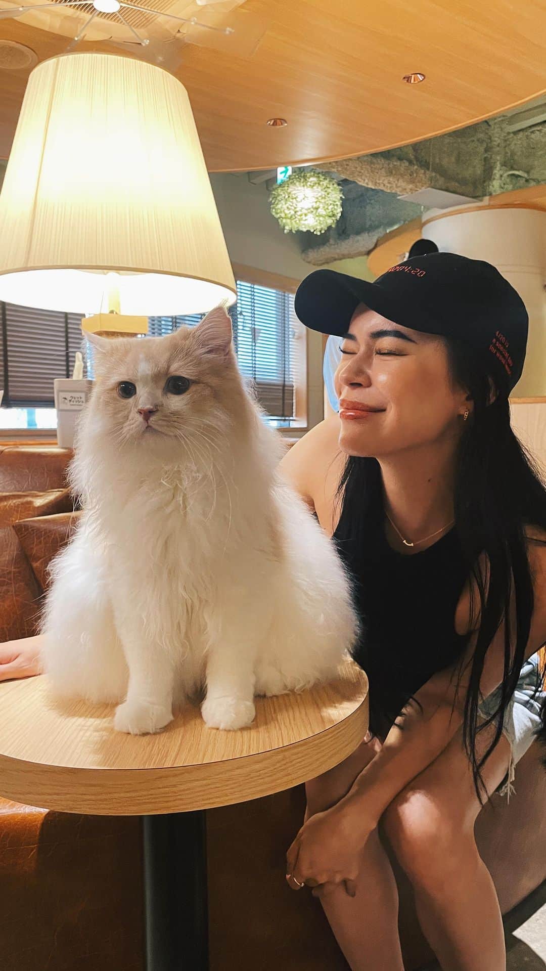 藤川ありすのインスタグラム：「天使たちに癒されてきました… 猫大好き過ぎる。 ここの猫カフェ、充電もできるから PC作業もできちゃうよ。猫カフェ友達募集🫱🏽‍🫲🏻  @catcafemocha」