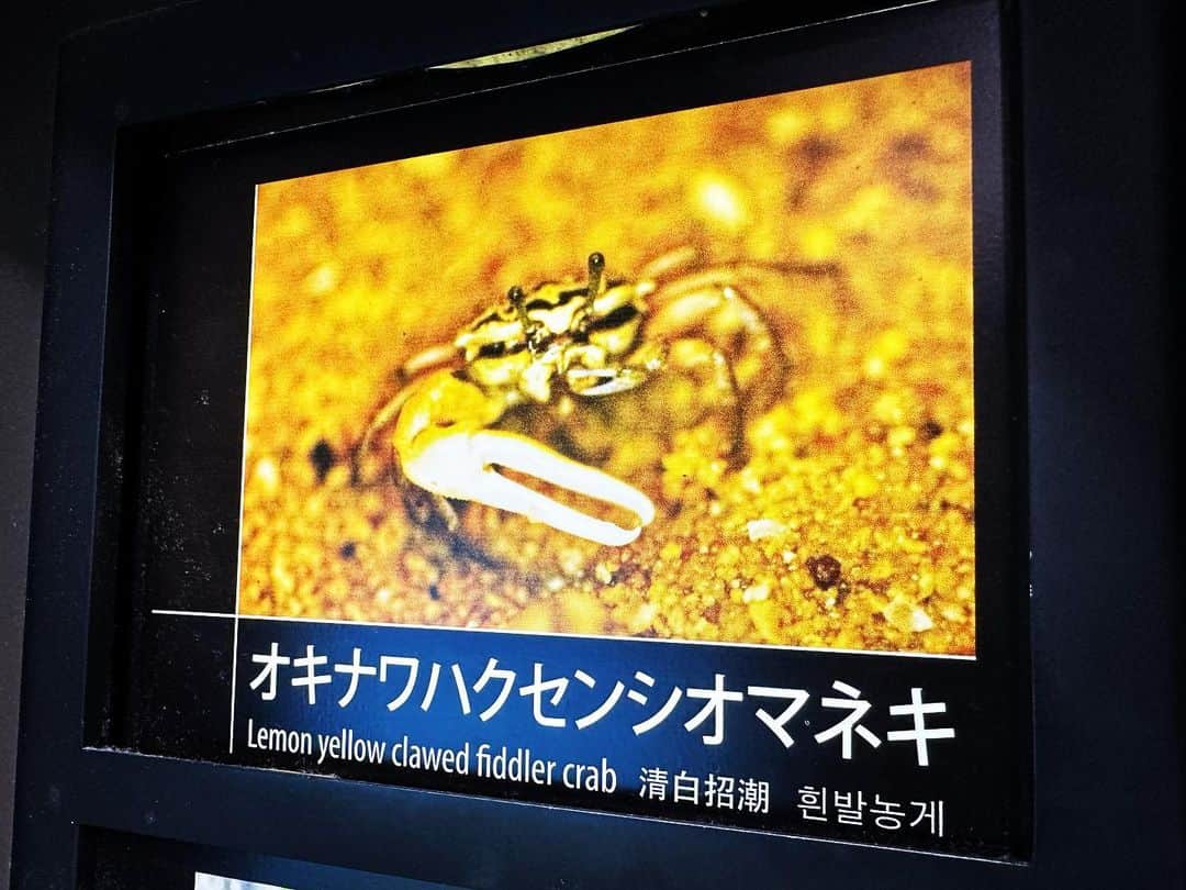 TAKAHIROのインスタグラム