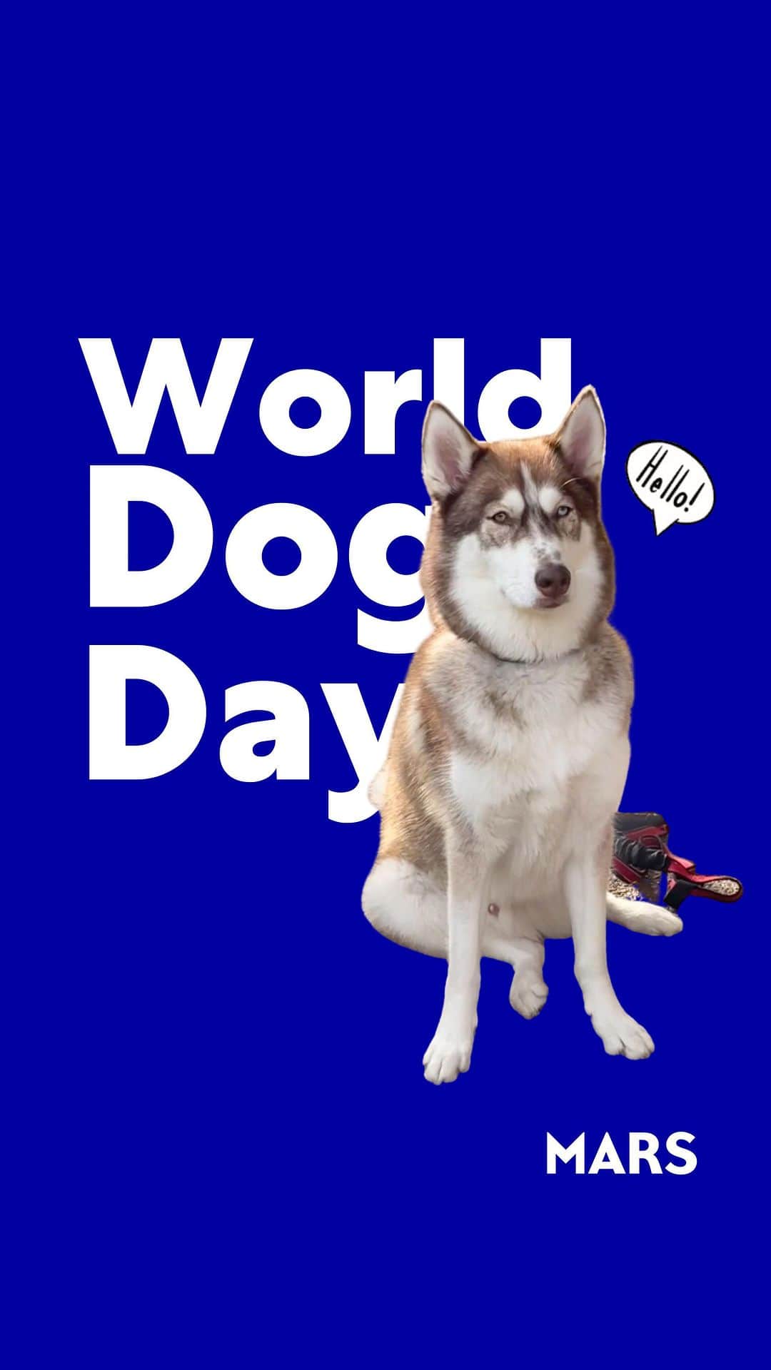 Marsのインスタグラム：「Here’s hoping you extend your #WorldDogDay celebrations well into the weekend.   #TomorrowStartsToday #ABetterWorldForPets」