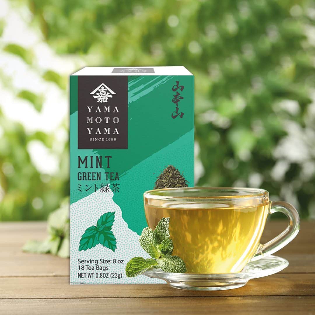 YAMAMOTOYAMA Foundedのインスタグラム：「Our Mint Green Tea is more than a drink. It's a break in your day, a moment of calm and rejuvenation. ⁠ ⁠ In addition, its unique combination will not only delight your palate but may also:⁠ 🍃 Provide subtle and lasting energy to face your daily challenges⁠ 🍃 Help digestion and maintain a healthy immune system⁠ 🍃 Refresh your breath and revitalize you at any time of the day⁠ ⁠ Click on our link in bio to shop!⁠ ⁠ ⁠ #yamamotoyama #japanesegreentea #greentea #matcha #tea #healthy #wellness #tealover #organic」