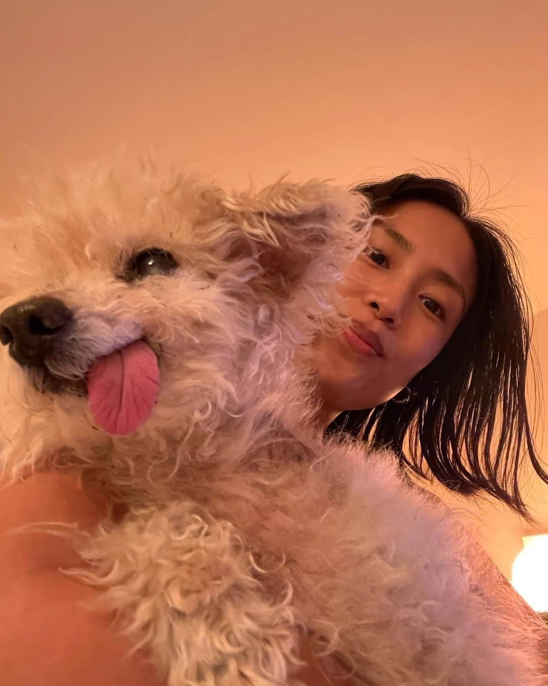 mao mitsuiのインスタグラム：「久々ジャスの登場❤️ ジャスも変わらず元気にしてます✨ 走るし飛び跳ねる。最近また新しい毛が生えてきたよ。 ミラクル起こすよね、ジャスって💫」