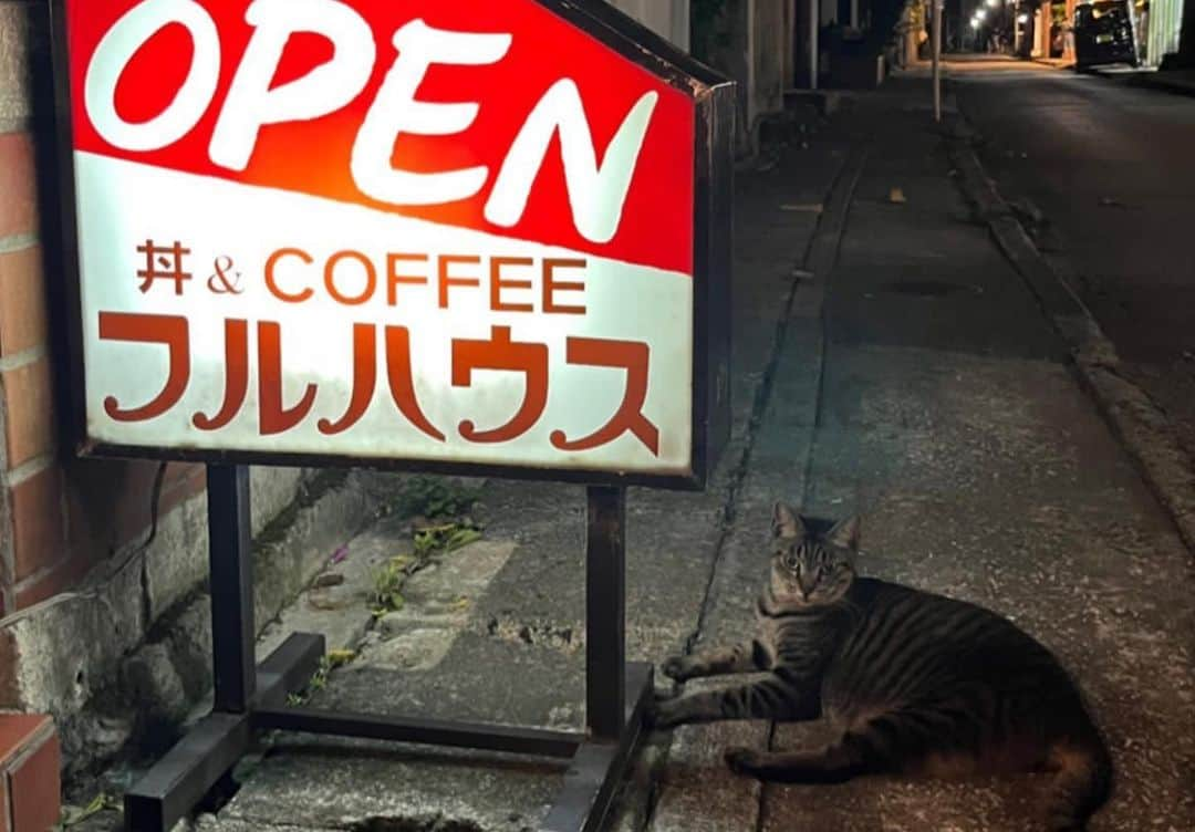 水森依音さんのインスタグラム写真 - (水森依音Instagram)「まだまだある夏の思い出🧜🏽‍♀️🫧」8月25日 17時30分 - ion_mizumori