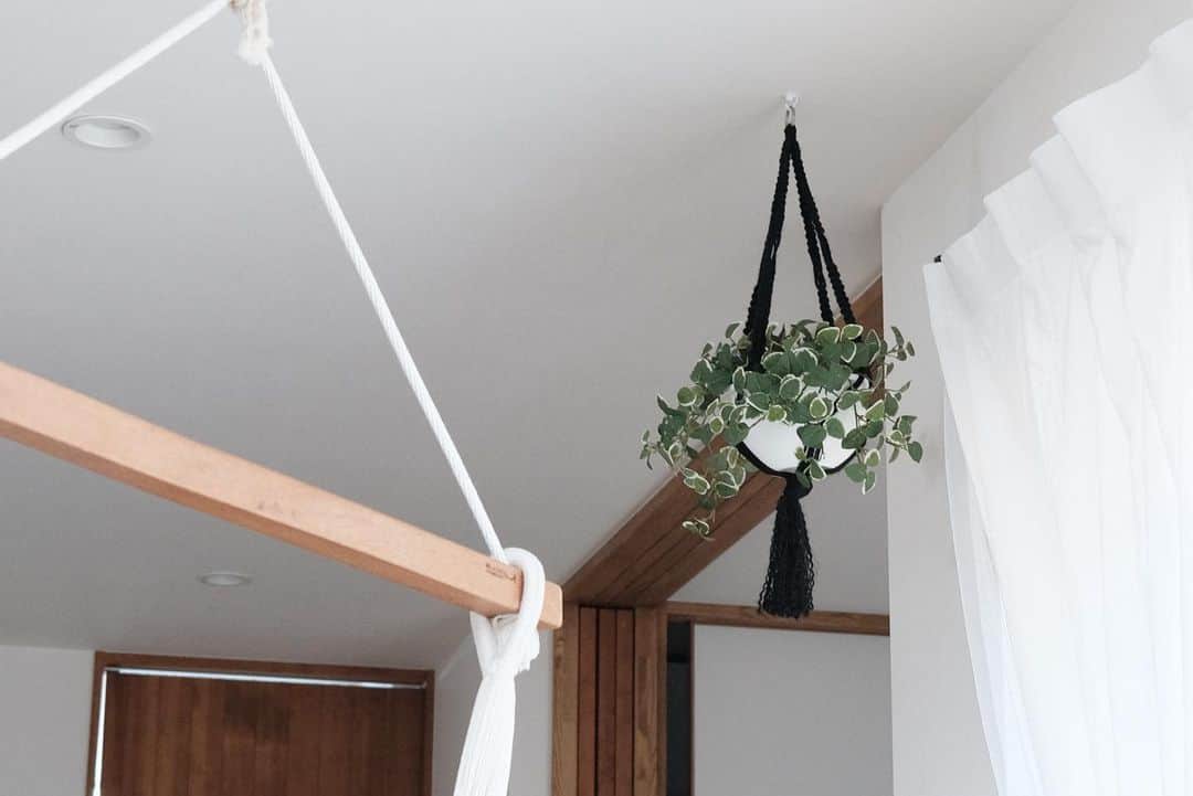 しょこのインスタグラム：「ㅤㅤㅤ 天井にはフェイクグリーンㅤㅤㅤ  キッチンに後付けでつけてもらったレールは 柱の関係とかであまり重いものを吊るすと 外れちゃう可能性あるようなので 本物の植物は1つだけにしてます。  こんな時にはフェイクグリーンが役立つ✧ 天井に吊るすとすぐに枯らしちゃうから わが家の吊るす系はほぼフェイクです。  プラント植物の水あげ忘れちゃうの私だけ？ リプサリスはスパルタでも元気です笑 ㅤㅤㅤ ㅤㅤㅤ #植物 #フェイクグリーン #ダクトレール #プラントハンガー #ハンドメイド #インテリア」