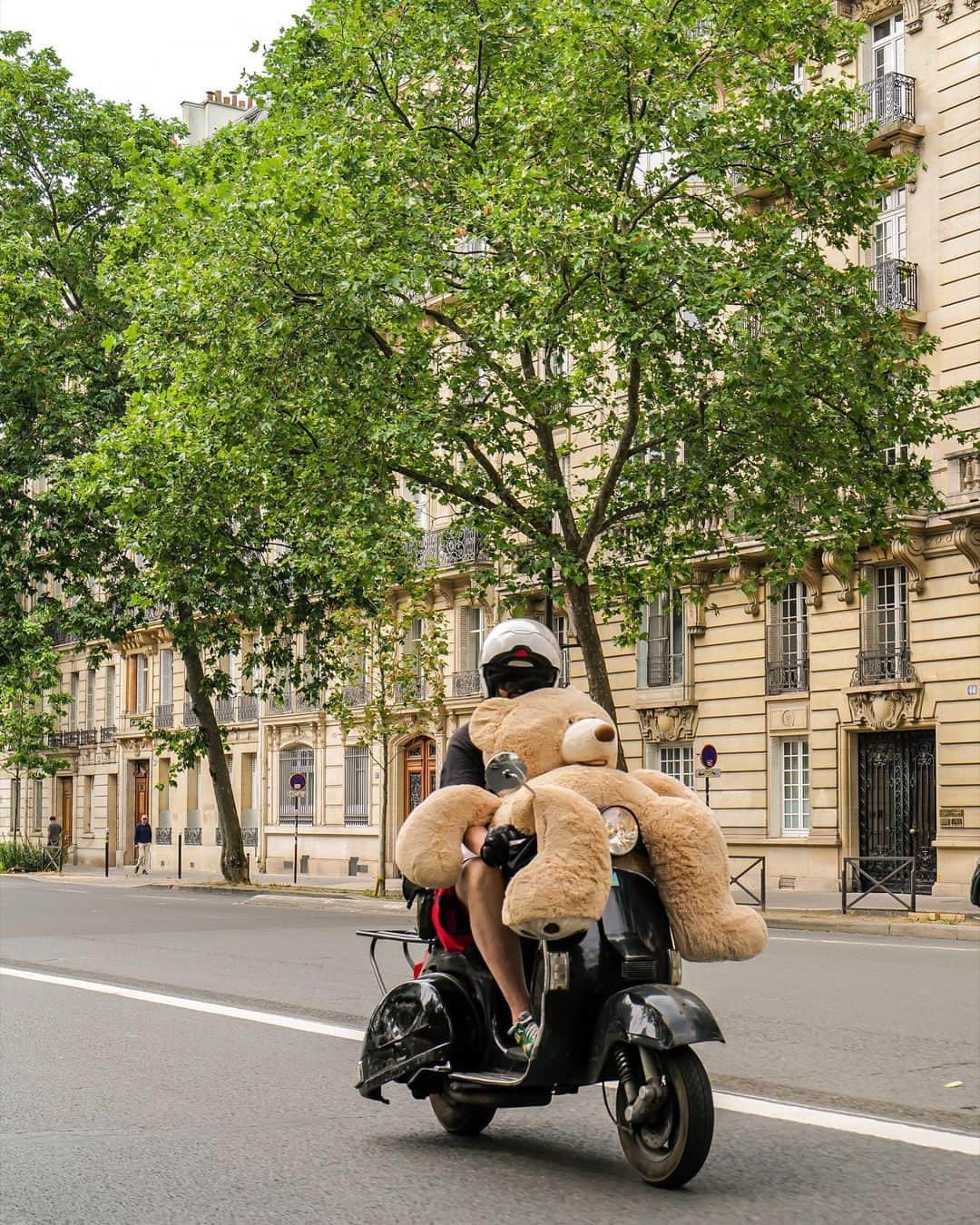 My Little Parisのインスタグラム：「Lendemain de soirée : “compliqué”. 🇬🇧:The day after the party: "complicated".  (📸: @dreuxvalou )」