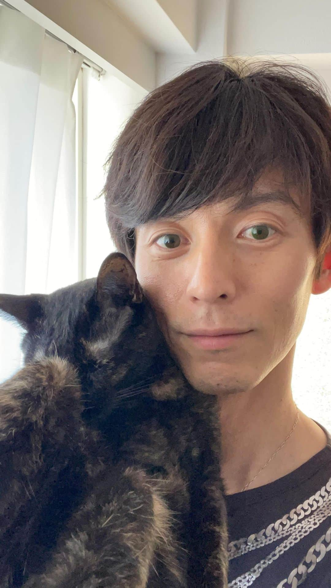 片岡信和のインスタグラム：「週１インスタライブ 夕方も寝ているココさん、流石だ。  #猫 #猫のいる暮らし  #ねこ #ねこすたぐらむ  #保護猫 #保護猫と暮らす #家族  #cat #catsofinstagram  #catlover #catlife」