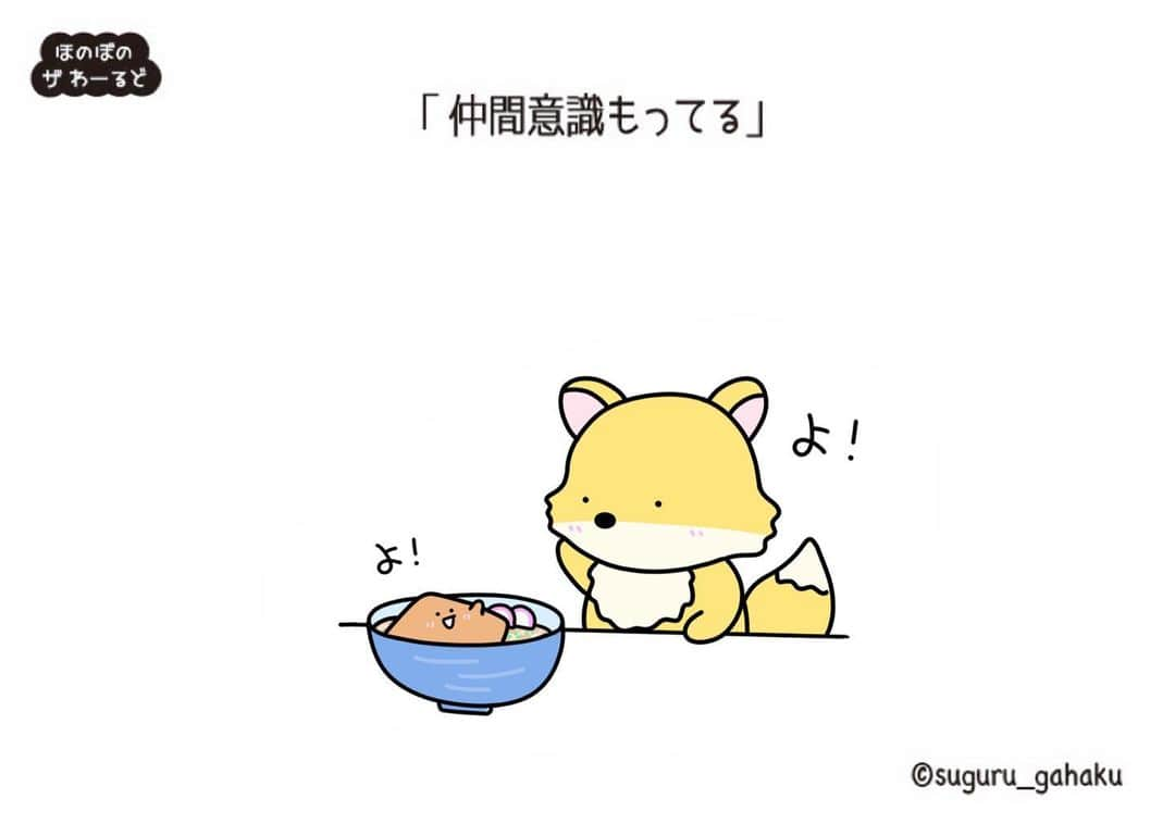 すぐる画伯さんのインスタグラム写真 - (すぐる画伯Instagram)「友達だ！  #きつねうどん  #イラスト #イラストグラム #イラストレーション #イラストレーター #いらすとぐらむ #いらすと #動物イラスト #食べ物イラスト #きつね #キツネ #うどん #illustration #drawing #すぐる画伯」8月25日 17時42分 - suguru_gahaku