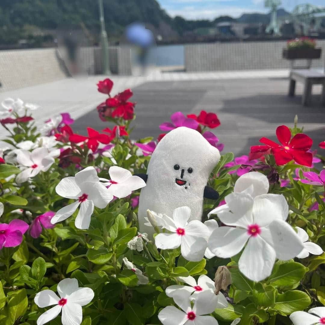 のインスタグラム：「.  みな産っ☺️❣️  今週も本当にお疲れコメ様です☺️💐  暑い日が続いているコメ💦 夏バテや熱中症にならないよう 水分補給をしっかりとってコメ☀️  明日から、8月最後の週末だヨネ💡 みな産にとって素敵な日になりますように😊  #夏休み #夏 #思い出 #花 #お花畑 #夏のひとコマ #ゆるキャラ #コメ助」