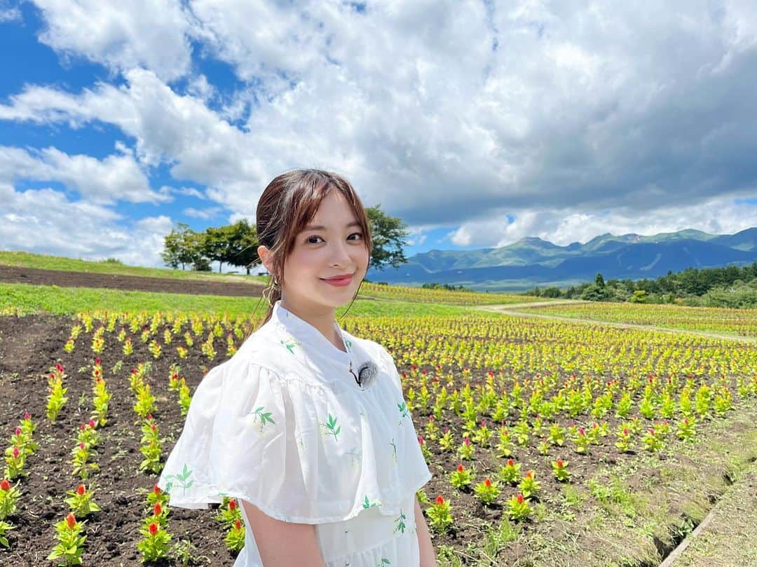 菊池柚花のインスタグラム：「. . . 「魅せます！とちブラ」のオフショット☺︎  那須フラワーワールドでお花を堪能しました！ 青空の下、綺麗な花が咲き奥には栃木が誇る山々🏔️✨  私はロウソクのような形をした “ケイトウ” というお花がお気に入り！ピンクに赤に黄色など、カラフルなお花たちがとっても可愛かった🩷💛❤️ これからの時期は、秋桜(コスモス)が楽しみです☺️」