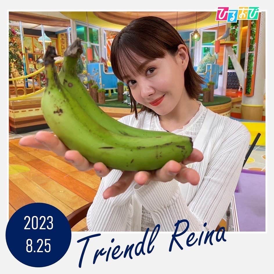 TBS「ひるおび！」さんのインスタグラム写真 - (TBS「ひるおび！」Instagram)「本日もひるおびを ご覧いただきありがとうございました✨  #プチトピ では #青いバナナ をご紹介🍌  海外ではポピュラーな食べ物ですが日本ではまだあまり知られていない青いバナナ🌟  見た目、味、食感も黄色のバナナと違うので、 料理の幅が広がりそうですね😳  8月28日から都内のスーパーなどで販売予定です❣️  月曜日のコメンテーターは #松尾依里佳 さんです 10時25分から ぜひご覧ください👀🤍  #恵俊彰 #八代英輝 #立川志らく #皆川玲奈 #トリンドル玲奈 #TBS #ひるおび」8月25日 19時30分 - hiruobi_tbs