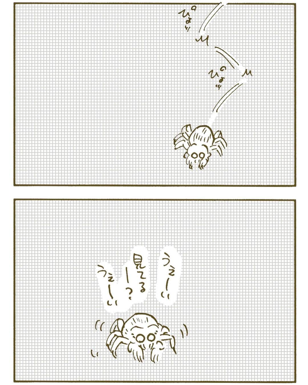 くるねこ大和のインスタグラム