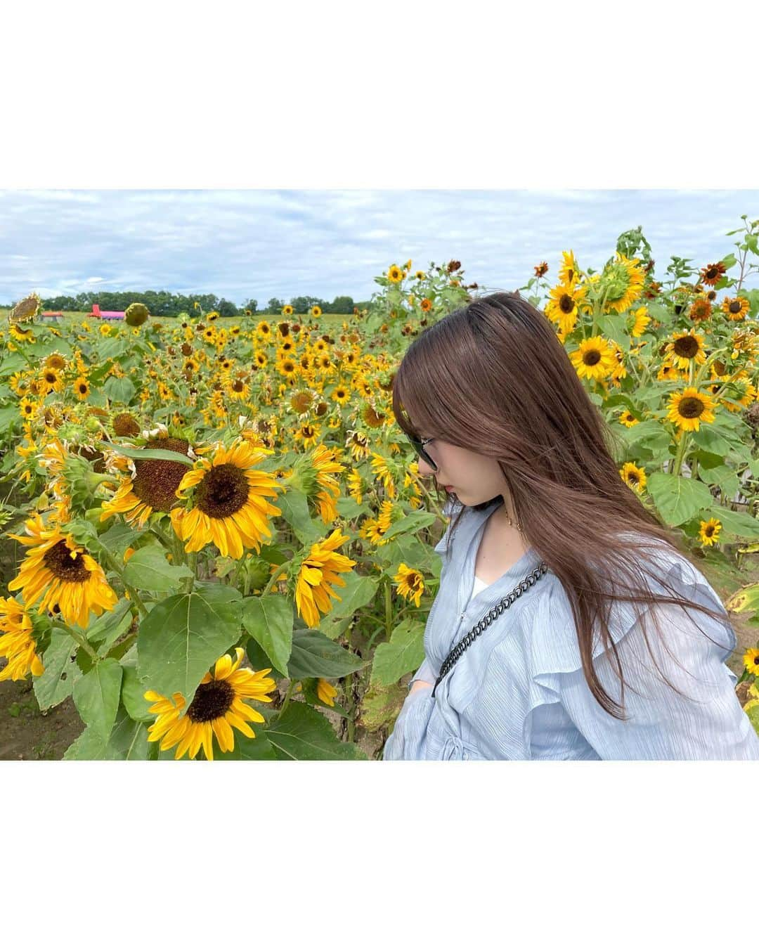 坂本瑞帆さんのインスタグラム写真 - (坂本瑞帆Instagram)「🌻💛🌻💛  今日はお姉ちゃんの誕生日👧🏻 21歳になったってさっ 早いなあ おめでとう🦋🤍 こんなに面白いお姉ちゃんいるのかなってくらい面白くて、優しくてほんとに心強くて、大好き😌 いい歳にしてね〜🫶🏻  最後の写真、お姉ちゃんと寝てるの お気に入りなんだ♡」8月25日 20時14分 - s.mizuho_0125