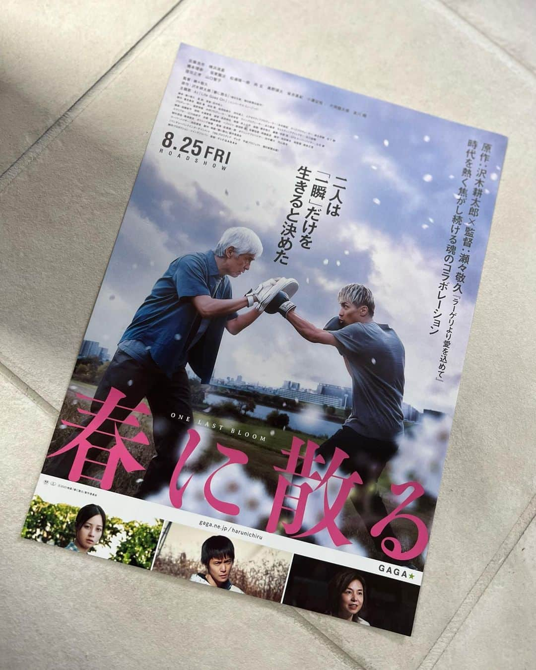 ImotoEtsuyo さんのインスタグラム写真 - (ImotoEtsuyo Instagram)「沢木耕太郎さんの 集大成とも言われる 小説を映画化したという 作品。  本日公開初日に鑑賞。  『春に散る』  ・  不公平な判定負けを経験した ふたりのボクサーが、 共に世界チャンピオンを目指す。  佐藤浩市さんと横浜流星さん がW主演を務める他、 共演は橋本環奈さん山口智子さん他。  #山口智子 さん 相変わらずの美しさでした❤️  臨場感のある試合シーン 凄すぎ… 特に終盤の横浜流星さんと 窪田正孝さんの迫力ある ボクシング試合シーンがとにかく圧巻。  演技、メイクも圧巻。  本当の試合のようで、終始手に汗握る ハラハラドキドキな映画でした。　 （1人で^^;）  ずっと #横浜流星　さん フォローしてます。 ・ 以前から言ってますが 1番好きな俳優さんです🤍 ・ #春に散る  #横浜流星 さん #佐藤浩市 さん #山口智子 さん #橋本環奈 さん #窪田正孝 さん #片岡鶴太郎 さん #哀川翔 さん #ボクシング  #映画  #公開初日  #8月25日 #日本映画」8月25日 20時34分 - bisuhada