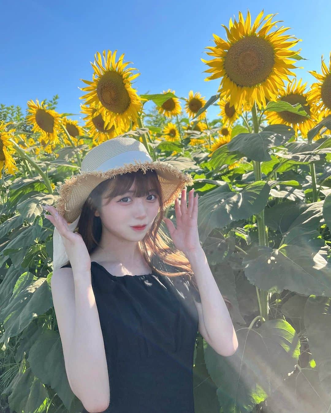 Kirariのインスタグラム：「ひまわり畑🌻お友達が麦わら帽子くれたの👒」