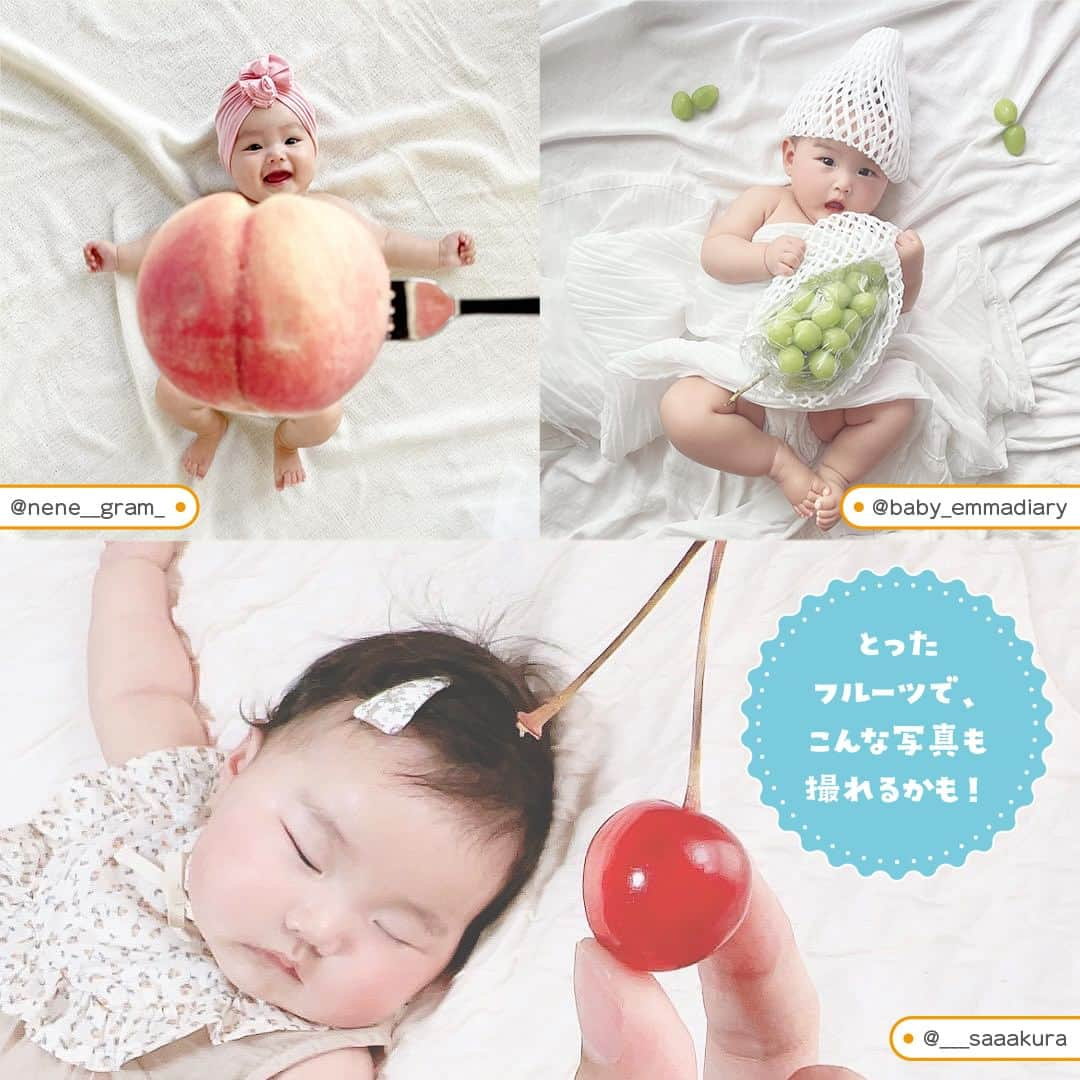 otowa (フォトワ)さんのインスタグラム写真 - (otowa (フォトワ)Instagram)「【コメント欄に狩りたい果物🍑🍓🍇🍊🍎を教えて下さい♪】 ・ 行楽シーズン、人気のあるアクティビティでもある フルーツ狩り🍑 ・ フルーツ狩りも映えな写真がたくさん撮れるおすすめスポットです♪ たくさんのフルーツに囲まれたり、 お子さまが小さな口で果物をほおばる姿もとってもかわいいですよね💖 ・ 今日はそんなフルーツ狩りの素敵なお写真を集めました！ ・ 構図の参考やこれからのお出かけの参考にもなると嬉しいです✨ ・ 🍇フルーツのシーズン🍇 ￣￣￣￣￣￣￣￣￣￣￣￣￣￣￣￣￣￣￣￣￣￣ 🍒さくらんぼ狩り　5月後半～7月上旬頃 🎂ラズベリー狩り　6～7月上旬頃 🍀ブルーベリー狩り　6月～8月頃 🍇ぶどう・マスカット狩り　6月～10月頃 🍑桃狩り　6月後半～8月頃 🍐梨狩り　8月上旬～10月頃 ￣￣￣￣￣￣￣￣￣￣￣￣￣￣￣￣￣￣￣￣￣￣ 素敵な投稿をリポストさせていただき、ありがとうございました✨⁠  @s.3102.g @akinai_baby @mama_of_lkk @m.a_r.t66 @no_right_no_life @413memories haru__yuno @m_and_m.s_camp @a__home826 @n_ami73sat_o @aya_02_11_ @nene__gram_ @baby_emmadiary ___saaakura  ---------------------------------------------------  「fotowa」はお子さまやご家族の記念写真を全国どこでも出張で撮影するサービスです🌟   公式Instagramアカウントでは、子ども・家族撮影に関する様々なお役立ち情報を 発信しています！ みなさまが撮影したお子さまのお気に入りのお写真は 「 #子育てグラマー 」をつけて投稿してくださいね📷   ご質問・お問い合わせはfotowa公式サイトからお願いします ✍🏻  ---------------------------------------------------  #fotowa #フォトワ #出張撮影 #果物狩り #フルーツ狩り #桃狩り #ぶどう狩り #梨狩り #ブルーベリー狩り #お出かけ写真 #デビューおめでとう #家族写真 #ベビスタグラム #ママスタグラム #パパスタグラム #さくらんぼ狩り #ベビーフルーツ #フルーツベビー #アクティビティ #家族でお出かけ #お出かけスポット #かわいい赤ちゃん #季節を楽しむ #季節のフルーツ #女の子ベビー #男の子ベビー #赤ちゃんのいる暮らし #子供のいる暮らし」8月25日 21時06分 - fotowa.jp