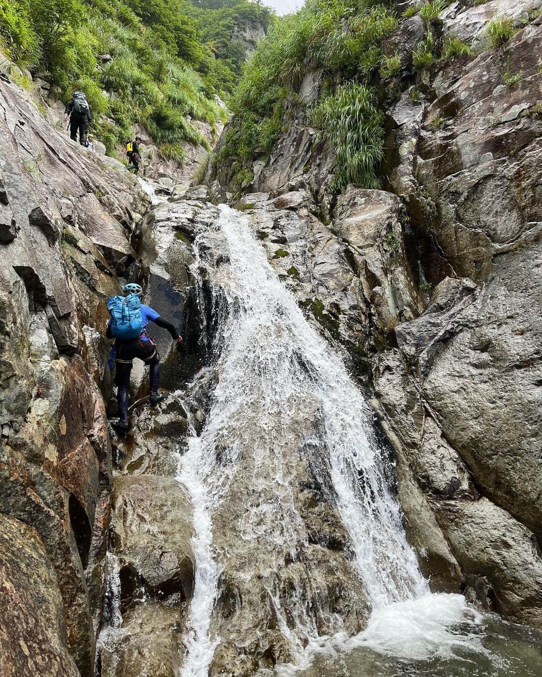 尾上彩さんのインスタグラム写真 - (尾上彩Instagram)「米子沢🌿 ・ ・ ・ @patagoniajp @patagonia_climb #climbing #climblikeagirl #bouldering #クライミング #ボルダリング #沢登り」8月25日 21時20分 - aya_onoe
