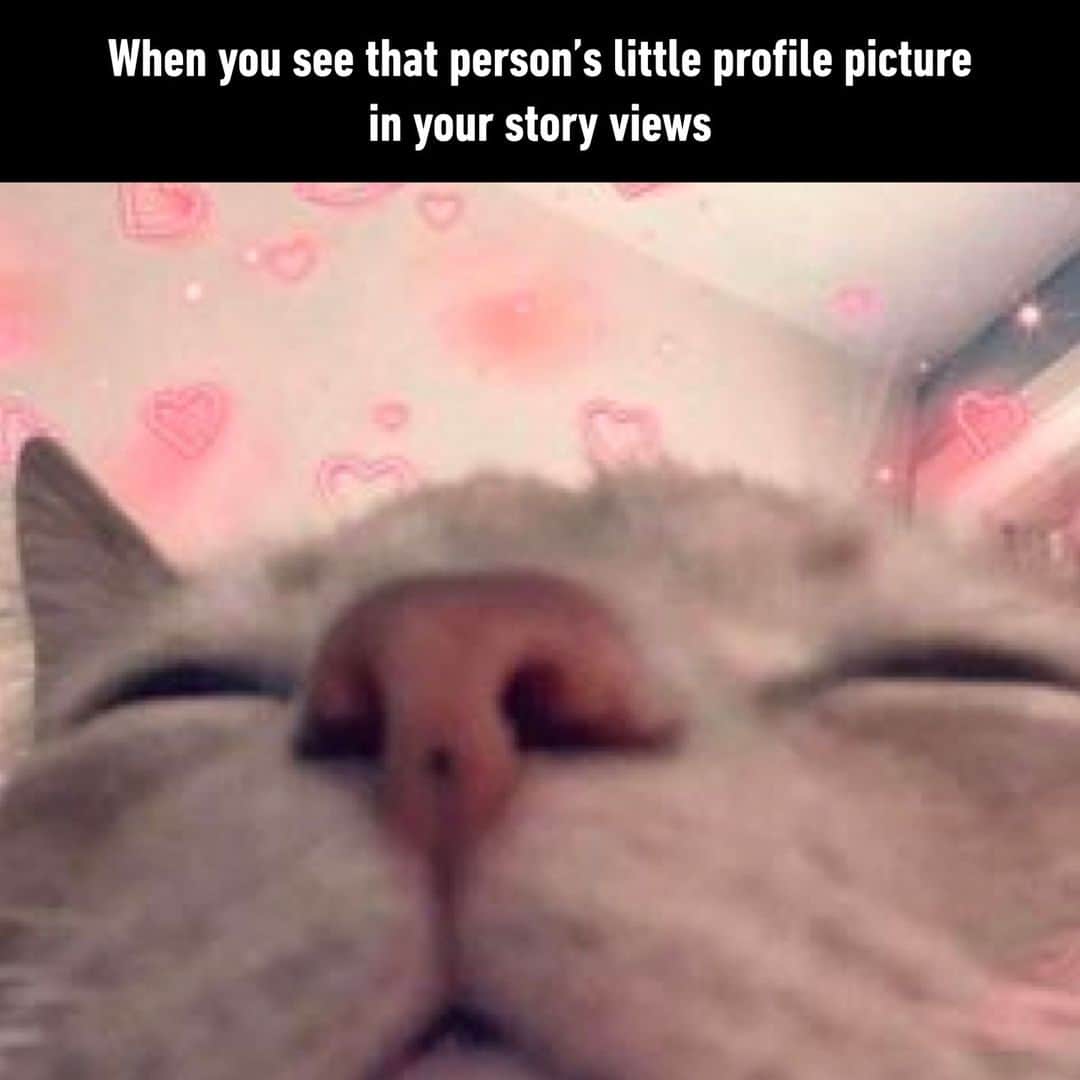 9GAGのインスタグラム