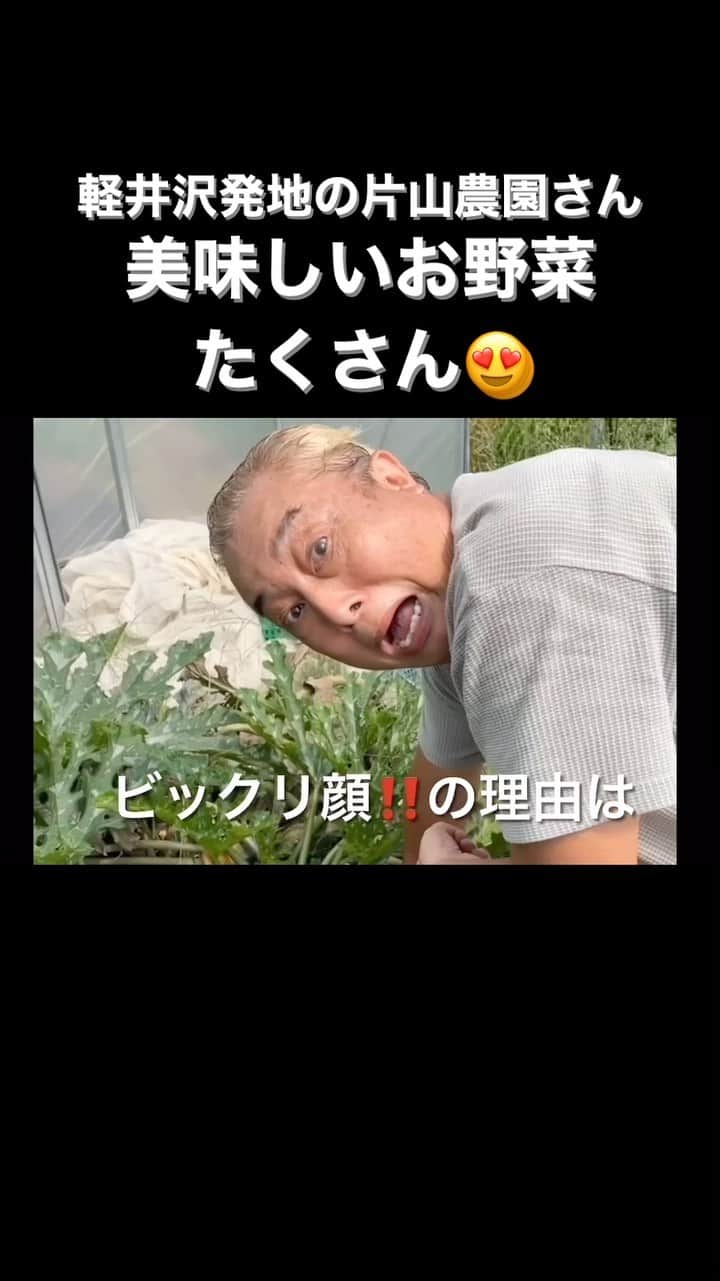 橋本志穂のインスタグラム