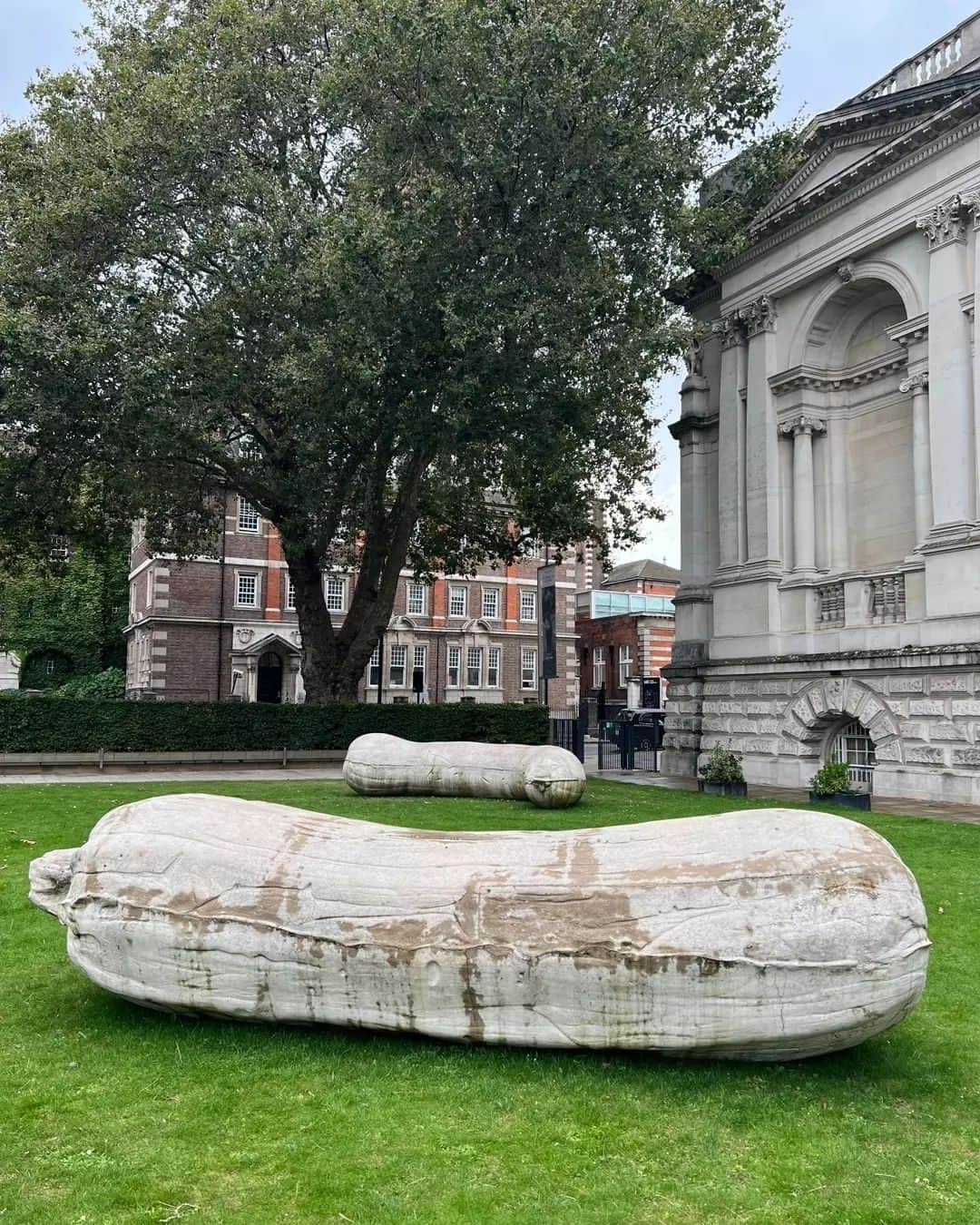 テート・ギャラリーさんのインスタグラム写真 - (テート・ギャラリーInstagram)「Incoming...! 🍆  Two giant marrows have landed outside Tate Britain in time for the Bank Holiday weekend. ☀️ Cast entirely of concrete and named Florian and Kevin, Sarah Lucas’s fantastical sculptures will inhabit the gallery's front lawn throughout Lucas's exhibition, HAPPY GAS, until January 2024. Seemingly transported from a fairy tale, Florian and Kevin play with our sense of scale, offering a perspective that is both familiar and disconcerting.  If you think these are funny, make sure to see Sarah Lucas’s #HAPPYGAS, a brash, daring exploration of what it means to be human. Doors open 28 September at Tate Britain.  📷 Captured by @Mikei_Hall, Tate's Senior Art Handler」8月25日 22時33分 - tate