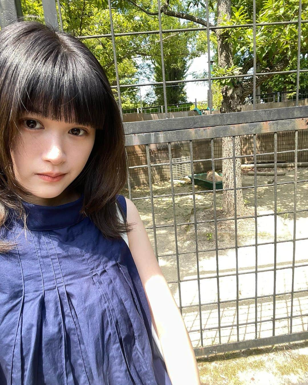 小西桜子さんのインスタグラム写真 - (小西桜子Instagram)「げんきです☀︎ まいにちあついですね  カピバラちゃんも水風呂に顔までつかってます くまさんもダイナミックに水浴びしちゃいます  癒しを涼をお届けして なんとか、げんきに残暑乗り切れますように」8月25日 22時35分 - sakurako_kns