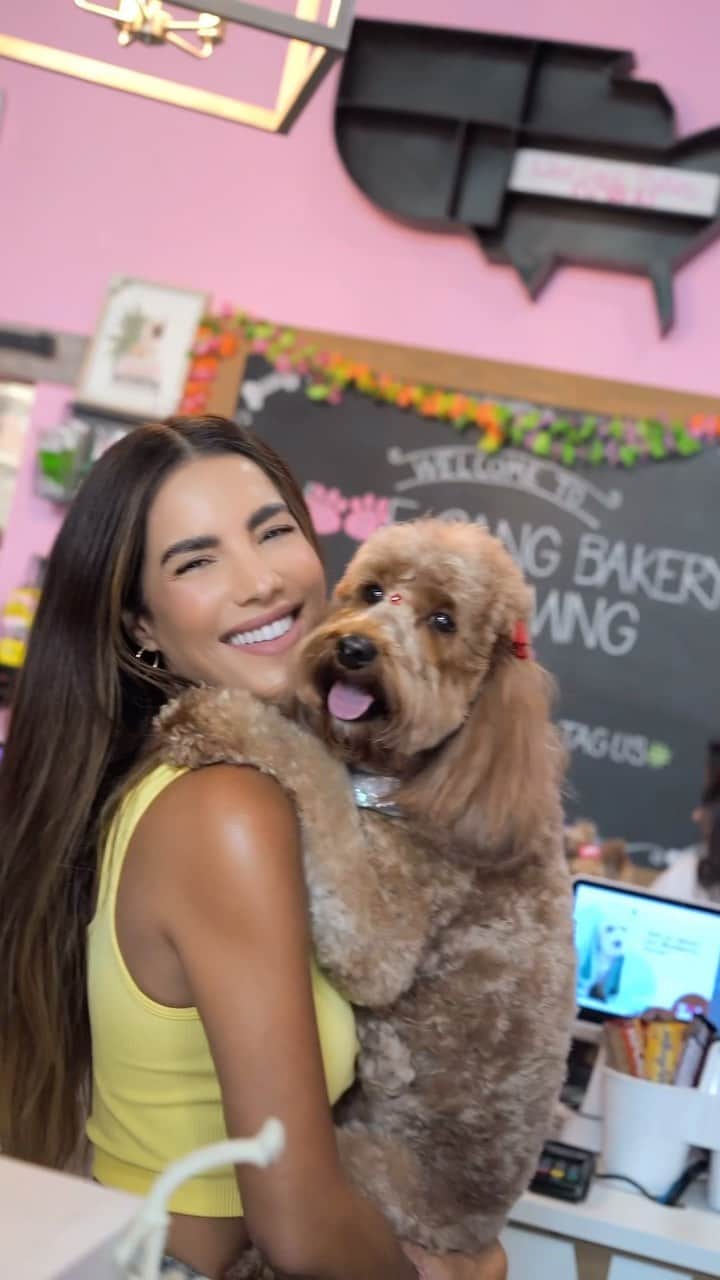 Gaby Espinoのインスタグラム：「Consintiendo a las reinas de mi casa 🐾 Cookie, Maya y Sophie con los mejores @wgbdoral @groomingwithlaural  🤪 me encantó el grooming que le hicieron, quedaron aún más hermosassss y la tienda es espectacular, tienen de todoooo, ropita, juguetes, snacks saludables y más.   Shop.woofgangbakery.com/doral 305-905-4020」