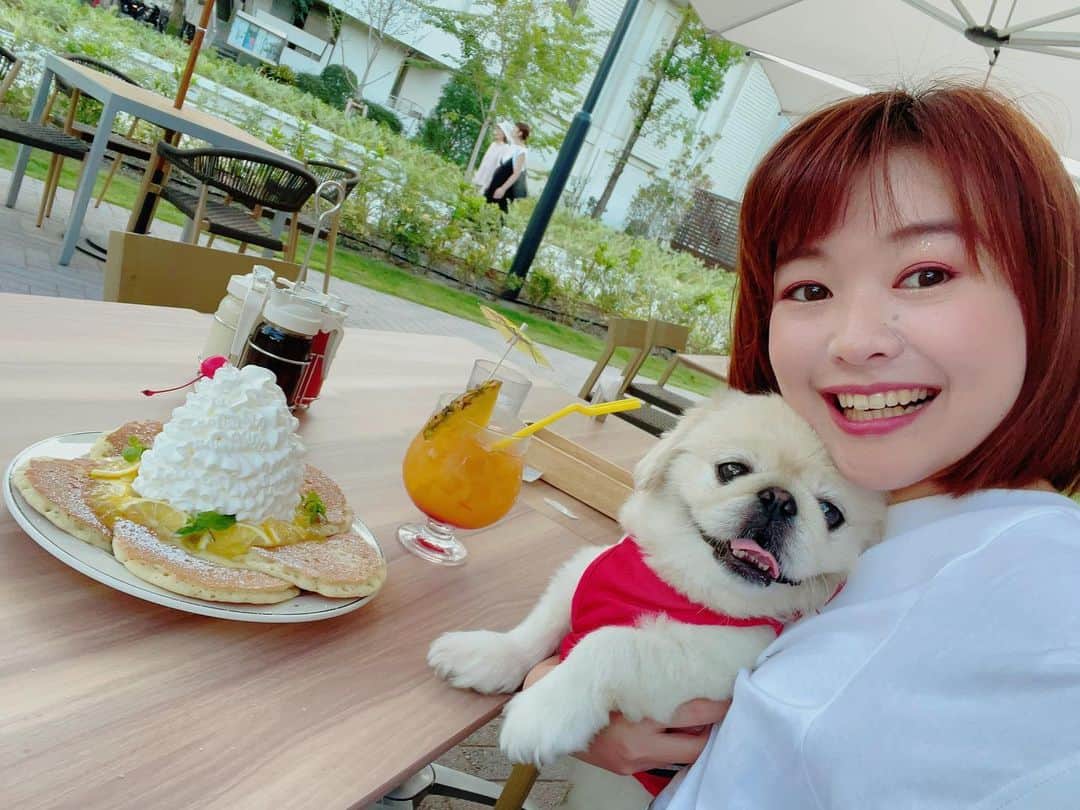 有田優理香のインスタグラム：「🍋  夏の終わり🎐 風が気持ちよくて秋が近づいてるの感じる〜☺️ とはいえ気温の表示は30℃。 35℃とかに体が慣れてしまったんだろうか、、  夏限定のパンケーキも食べ納め🥞 さっぱり美味しかった！ 来月は何かな楽しみ🥳  @eggsnthings_hiroshima  ごちそうさまでした！！  #エッグスンシングス #はちみつレモンパンケーキ #シミントひろしま #ゲートパーク広島 #ペキニーズ #pekingese #アナウンサー #休日」