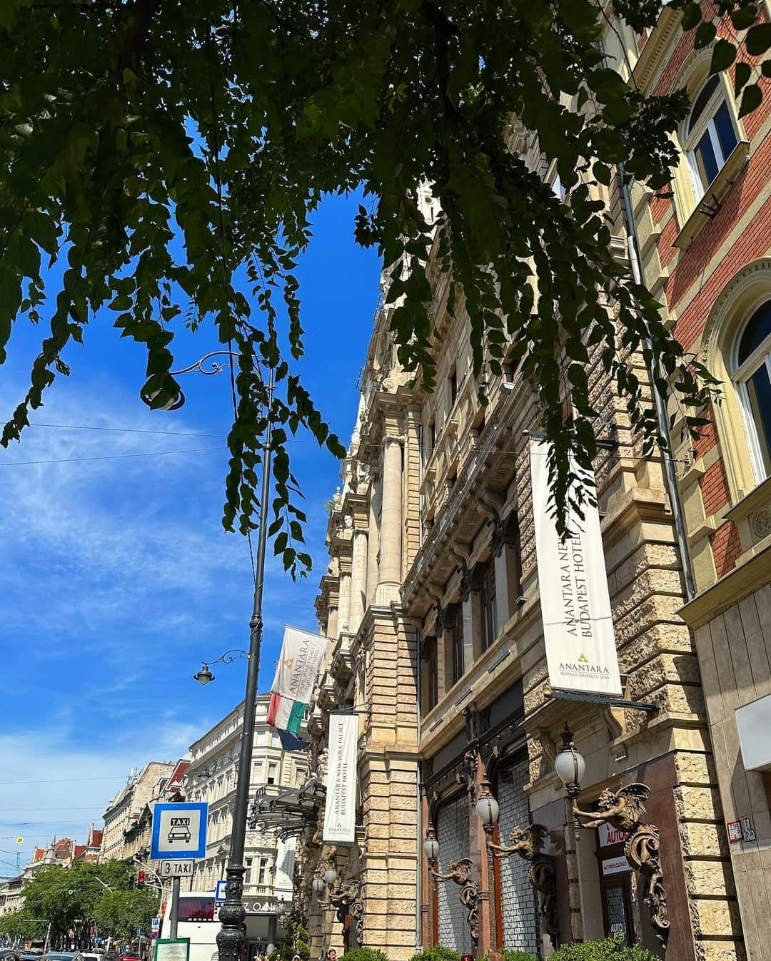 新田朝子さんのインスタグラム写真 - (新田朝子Instagram)「One of most beautiful cafe in the world @newyork_cafe_budapest ♡  #budapest #hungary #travelphotography #cafe #cafelover   #ブダペスト #ハンガリー #東欧 #カフェ巡り部 #海外カフェ #海外旅行好きな人と繋がりたい #海外在住 #中東在住 #🇭🇺 #☕️」8月25日 23時20分 - asako.nitta