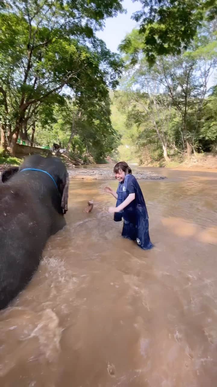 ゆーりのインスタグラム：「ぞう使いにずっと水かけられてた😨🇹🇭下着びっちょびちょ( '-' )( '-' )」