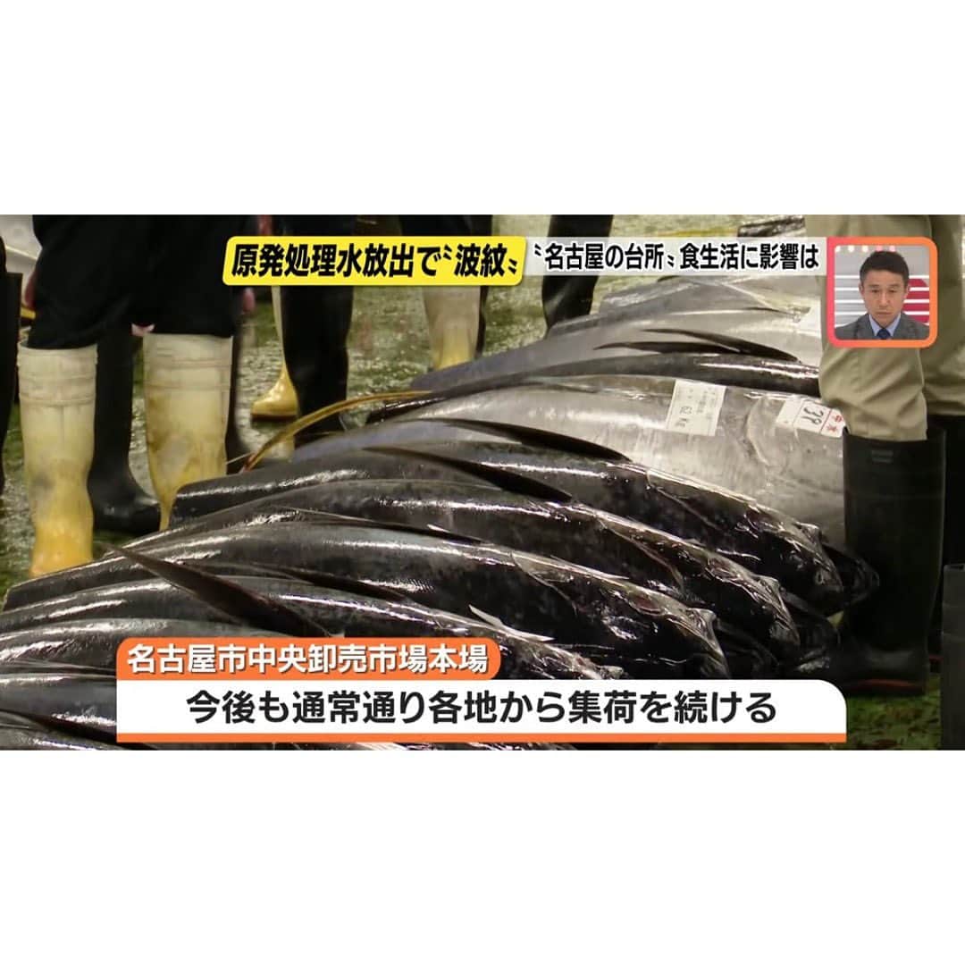 上坂嵩さんのインスタグラム写真 - (上坂嵩Instagram)「処理水放出の影響は？ . 昨日始まった福島第一原発 #処理水 の #海洋放出 。 東海地方への影響や受け止めを取材しました。 . 街には、風評被害を心配して抗議活動する団体の姿が。 また三重県の #漁連 では、 「中国への輸出に影響が出始めている」と言います。 . 一方、名古屋の #中央卸売市場 では 「国内消費に影響はない」と話し、 宮城県産の #カツオ などを扱う #飲食店 でも 「客から心配の声は上がっていない。 　今後も風評被害がないことを願う」と話していました。 . 取材を進めていて印象的だったのは、 「処理水の問題は放置できない」 「国の基準をみると、問題があるとは思えない 　大事なのは基準を守っているかチェックしていくこと」 という、街の方々の冷静な声でした。 . たしかに、放射性物質 #トリチウム の処理水の濃度は、 国の #安全基準 の【1/40】 #WHO の#飲料水基準 の【1/7】です。 . 一方で、「安全」であることと 「安心」であることはイコールではありません。 . 「安全」基準に沿った放出をしているか、 その上で「安心」できる情報発信をしているか、 私たちも政府に求めていくことが大事だと感じました。 . . #名古屋 #丸の内 #陸奥 #メーテレ #アップ #アナウンサー #報道 #フィールドキャスター #ニュースワード #SDGsビジネスマスター #SDGs #出前授業 #出張授業 #講演会 #スピーチ #スピーチコンサルタント #スピーチトレーナー #上坂嵩」8月25日 23時51分 - takashi_uesaka_nbn
