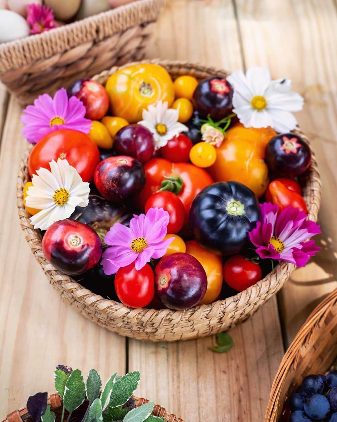 リズ・チェルカソワさんのインスタグラム写真 - (リズ・チェルカソワInstagram)「Learning how to garden has been a humbling experience. Nurturing these tiny seeds of life, witnessing their delicate transformation into vibrant blooms and majestic plants has taught me the importance of patience and resilience. It reminds me to be present, to enjoy the beauty of the moment, and to understand that growth takes time.  #gardeningjourney #learningtogarden #gardentotable #hudsonvalley」8月25日 23時54分 - lateafternoon