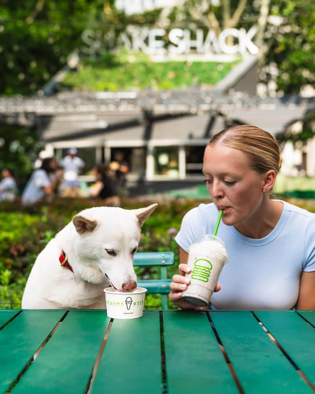 SHAKE SHACKさんのインスタグラム写真 - (SHAKE SHACKInstagram)「Tomorrow’s National Dog Day, so naturally we’re pulling out all the stops for pups this weekend. Scroll for the deets.👇      Buy any classic shake + receive a FREE Pooch-ini for your pup from 8/26-8/27. Use code DOGDATE.    8/26 is Pup Portrait Day at our Madison Square Park (NYC) + Austin (TX) Domain Shacks! Tap the link in our bio to snag a mini photo session reservation (spots are limited).      Can’t make it, or just need a smile? Follow @dogsofshakeshack, where we’ll be uploading photos of pups at the Shack all day long.  #shakeshack #nationaldogday」8月26日 0時05分 - shakeshack